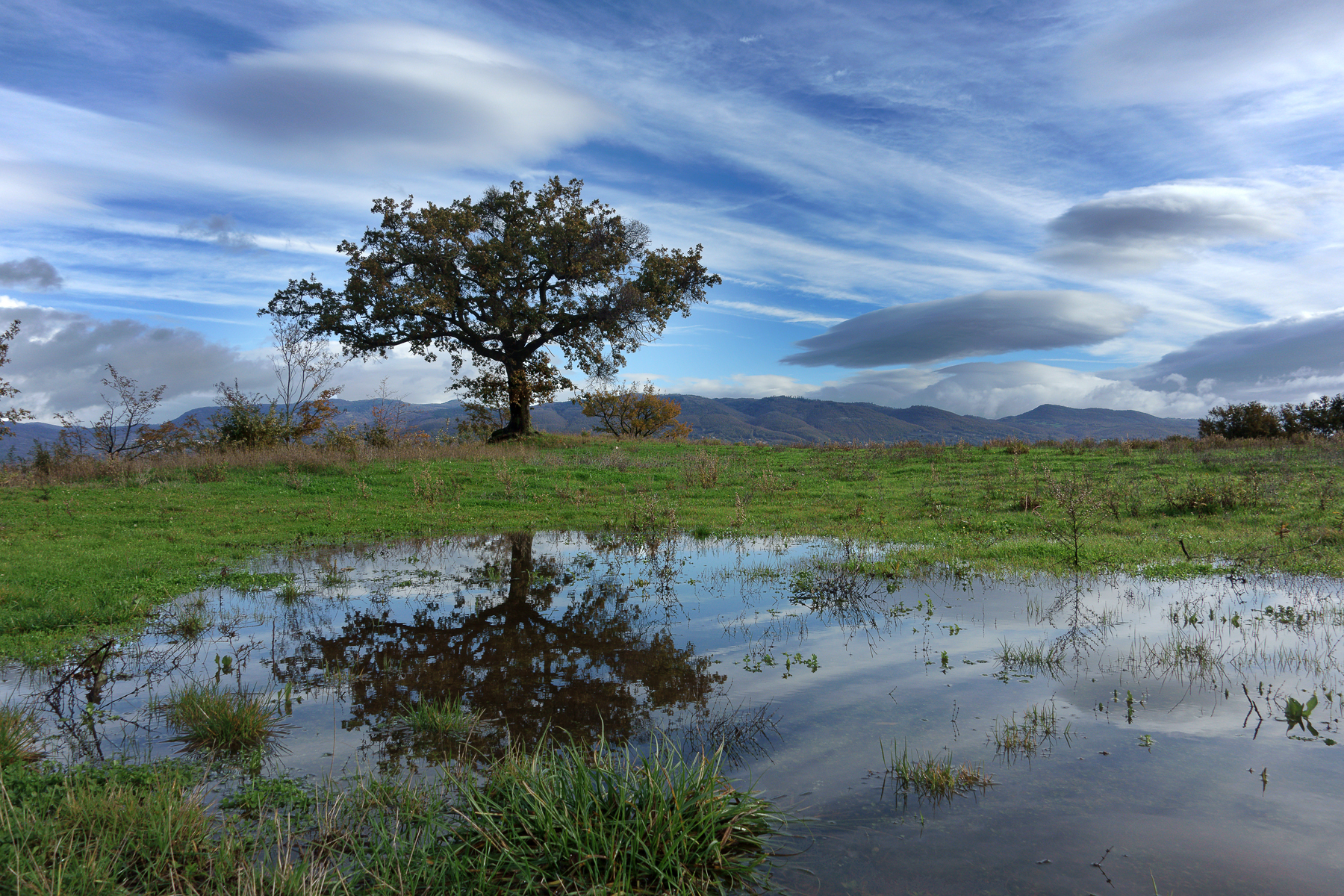 Riflessi