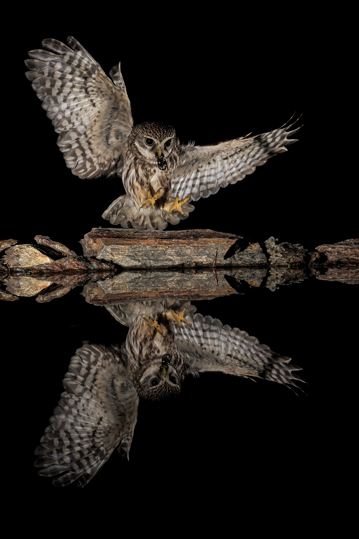 LANDING