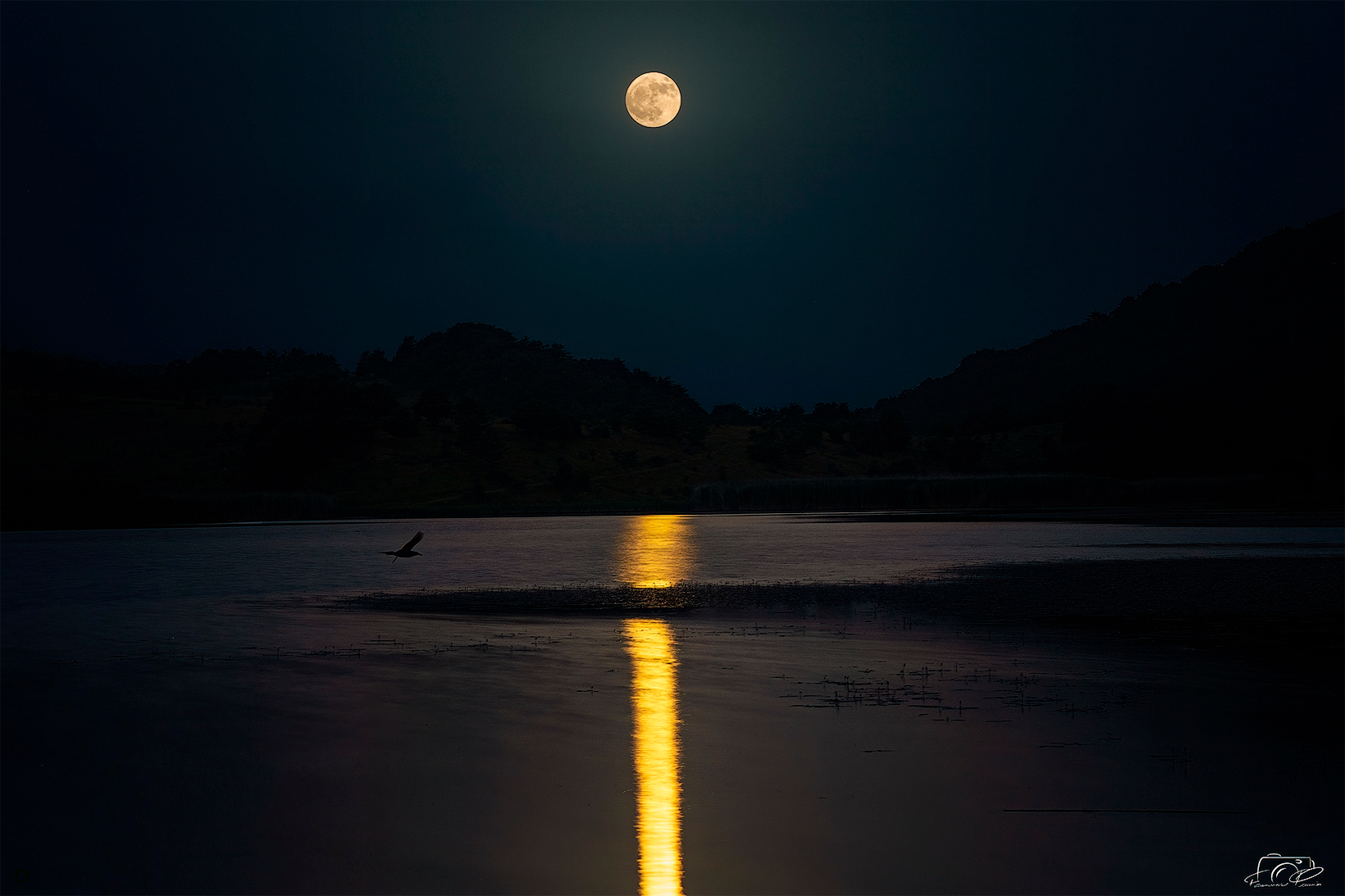 Strawberry Full Moon 2024