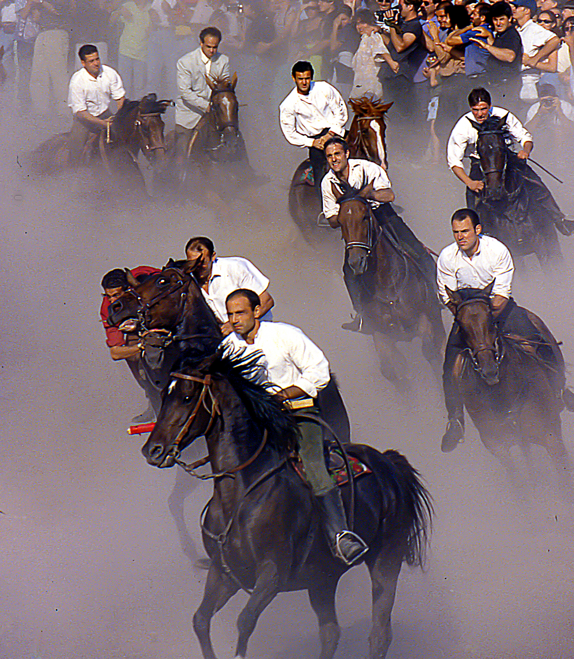 Ardia of San Costantino