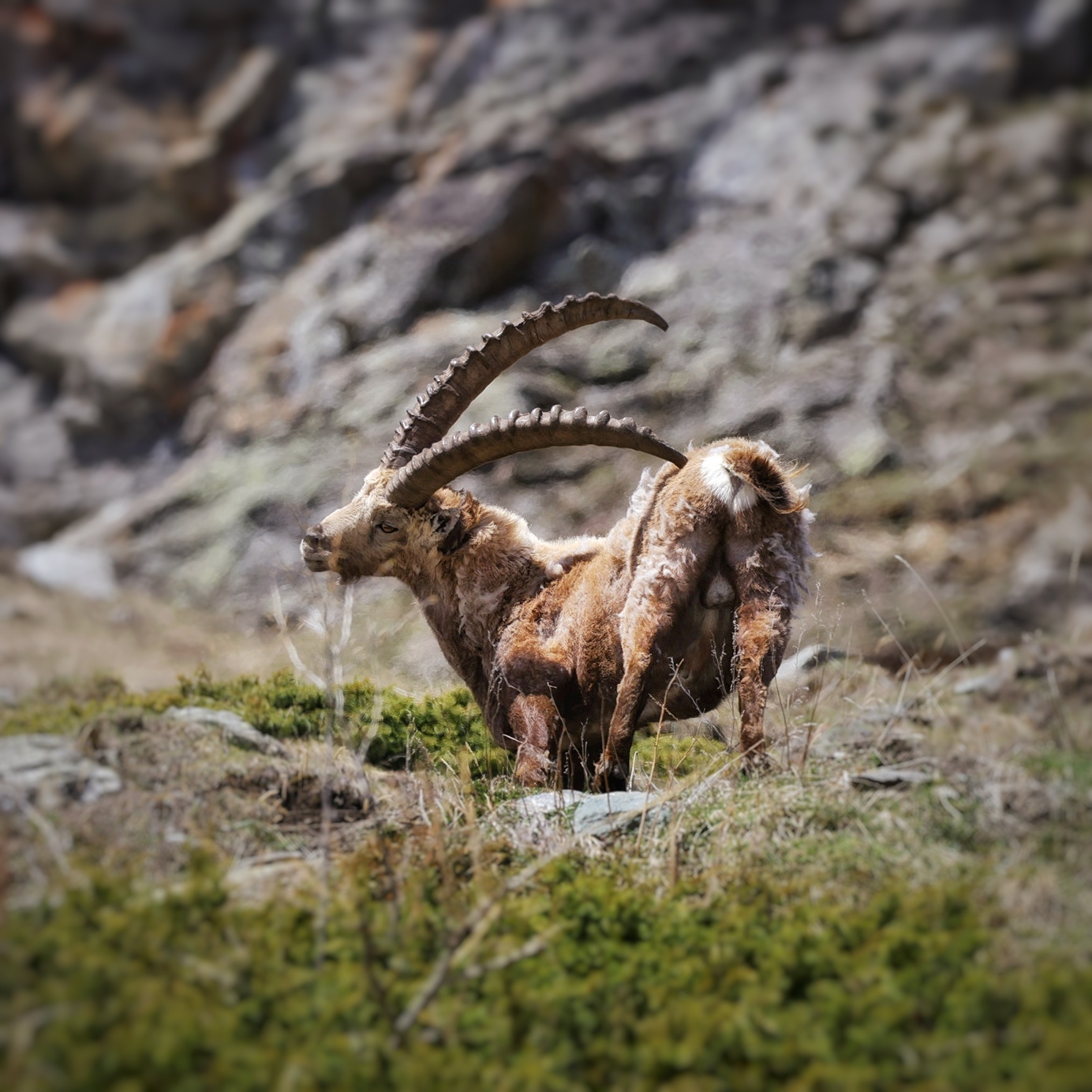 In armonia con la natura