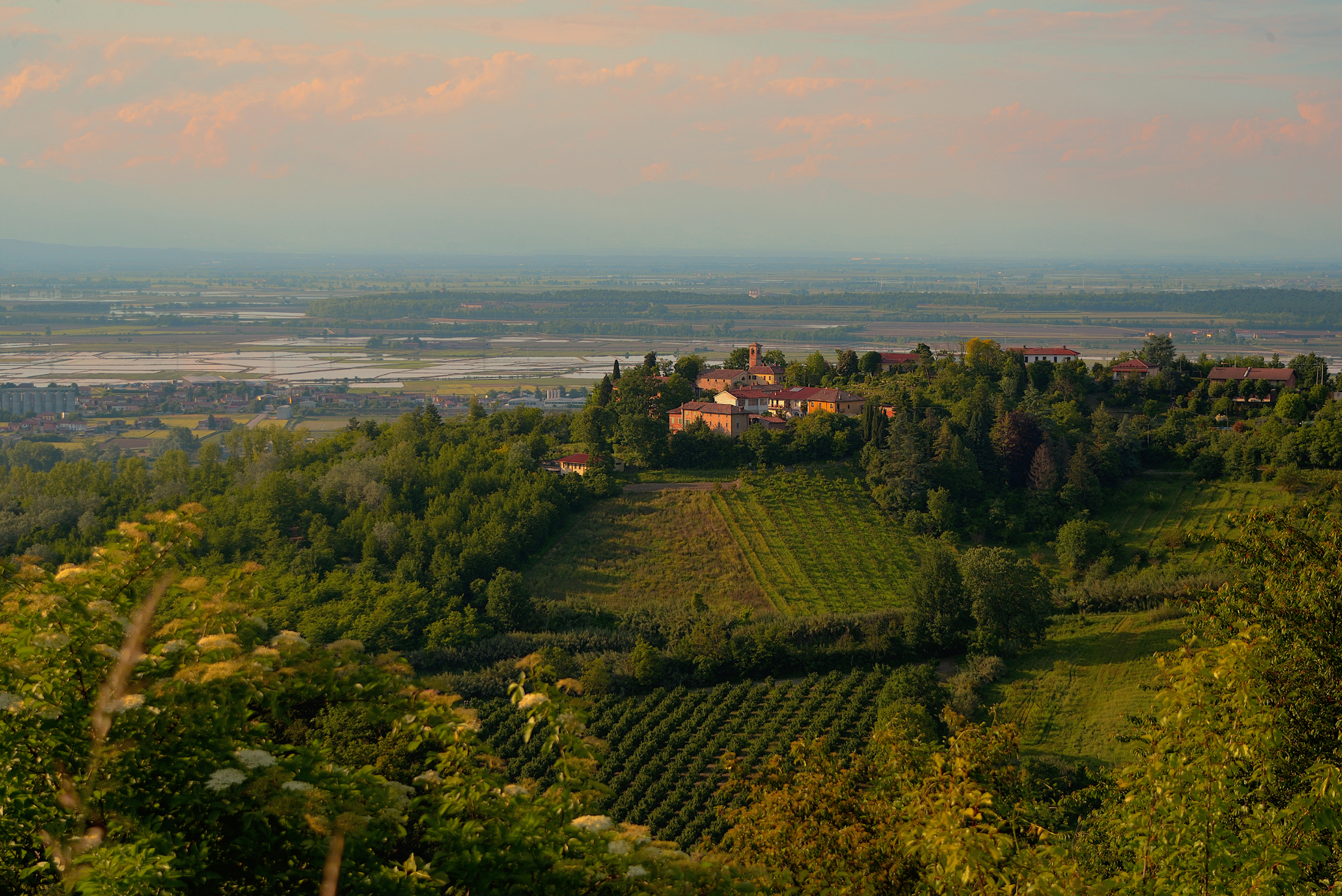 Monferrato