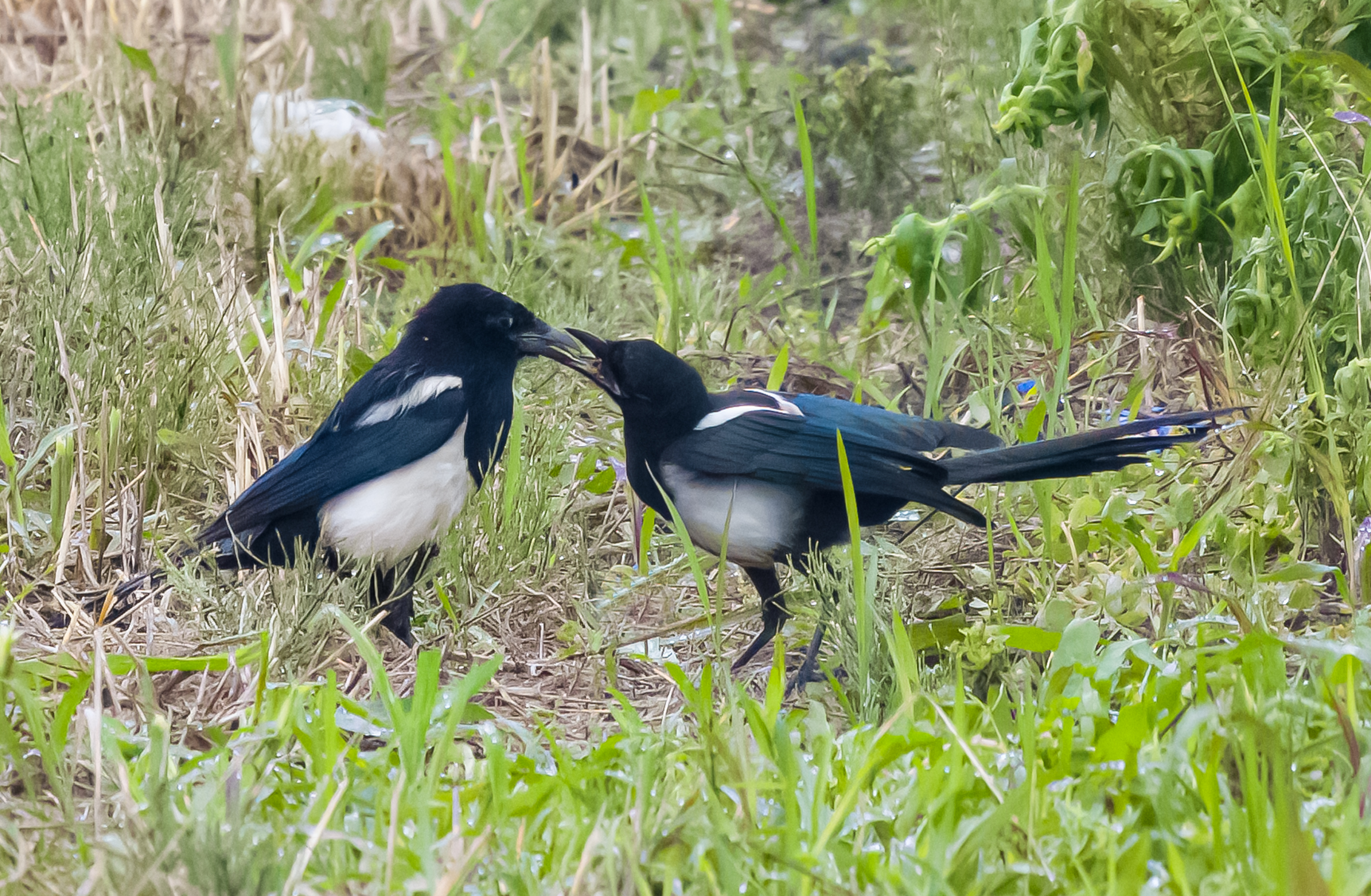 Quando si stringe il cuore..