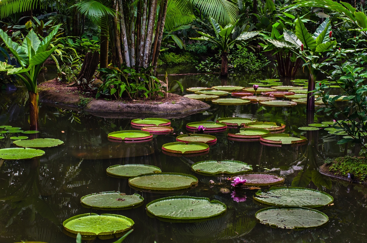 Singapore - Exotic View