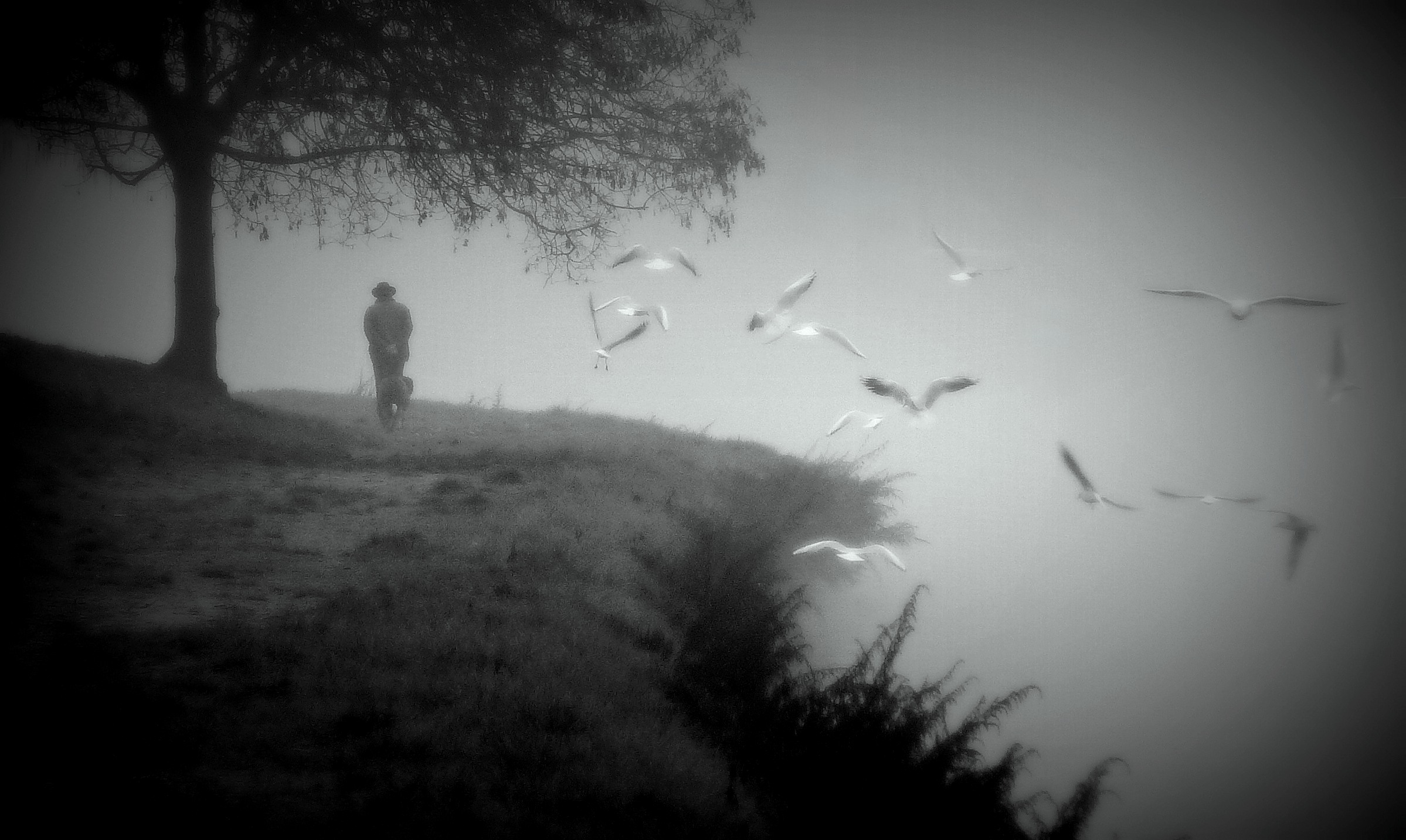 melancholy .....................