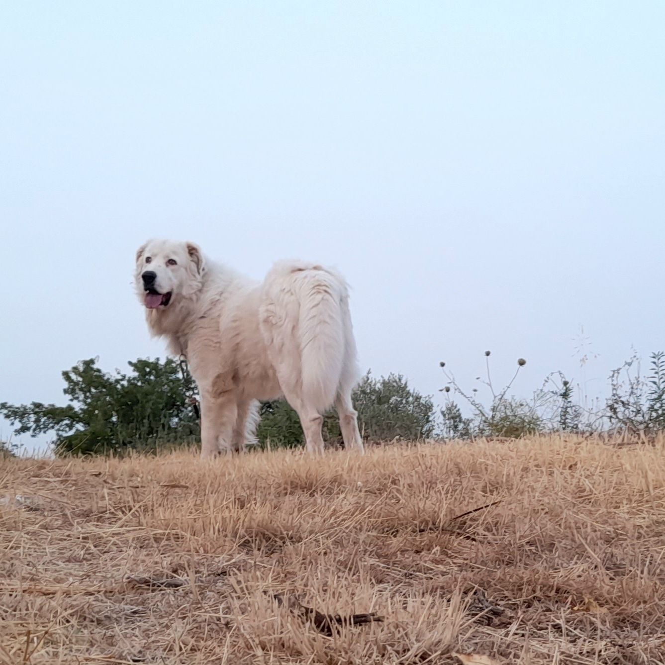 Quanto sei cresciuto