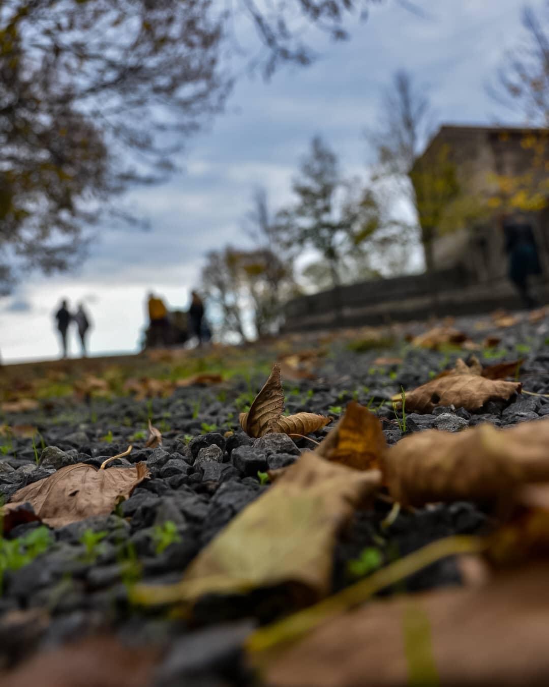 Autumn