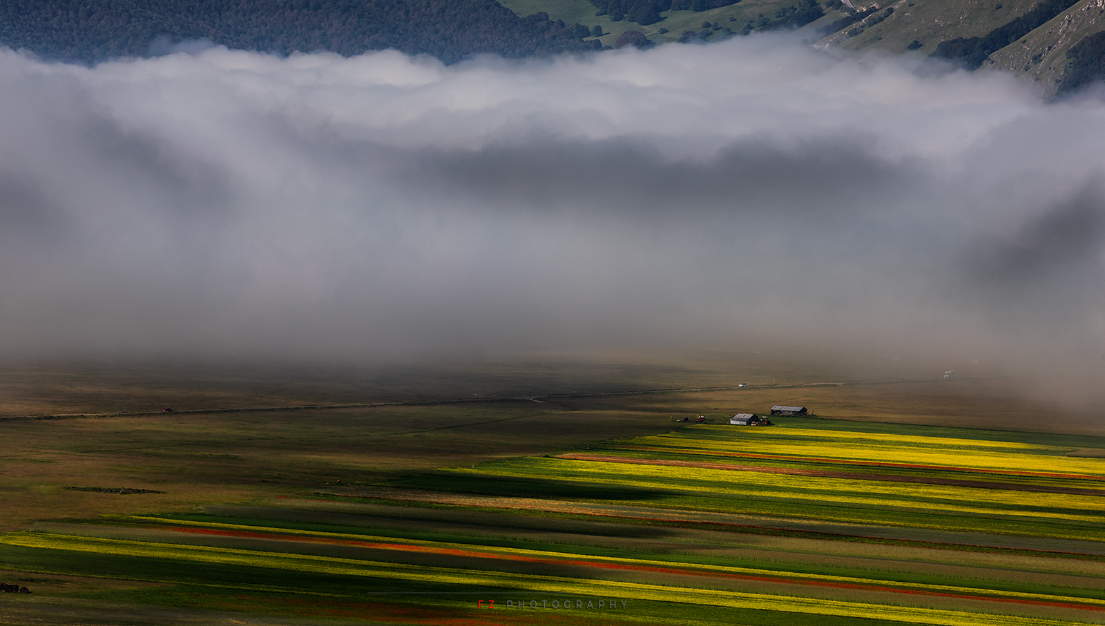 Lights and shadows under the fog