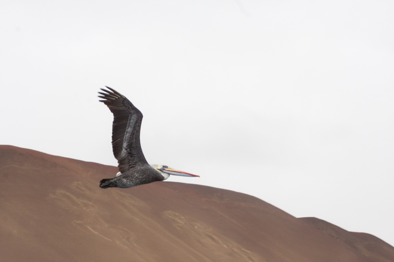 Flying in the desert 02