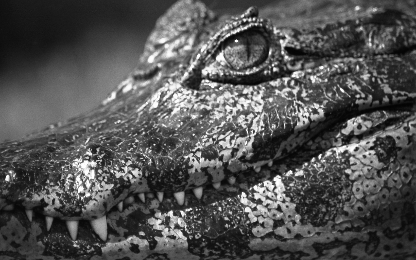 .. Come a little closer