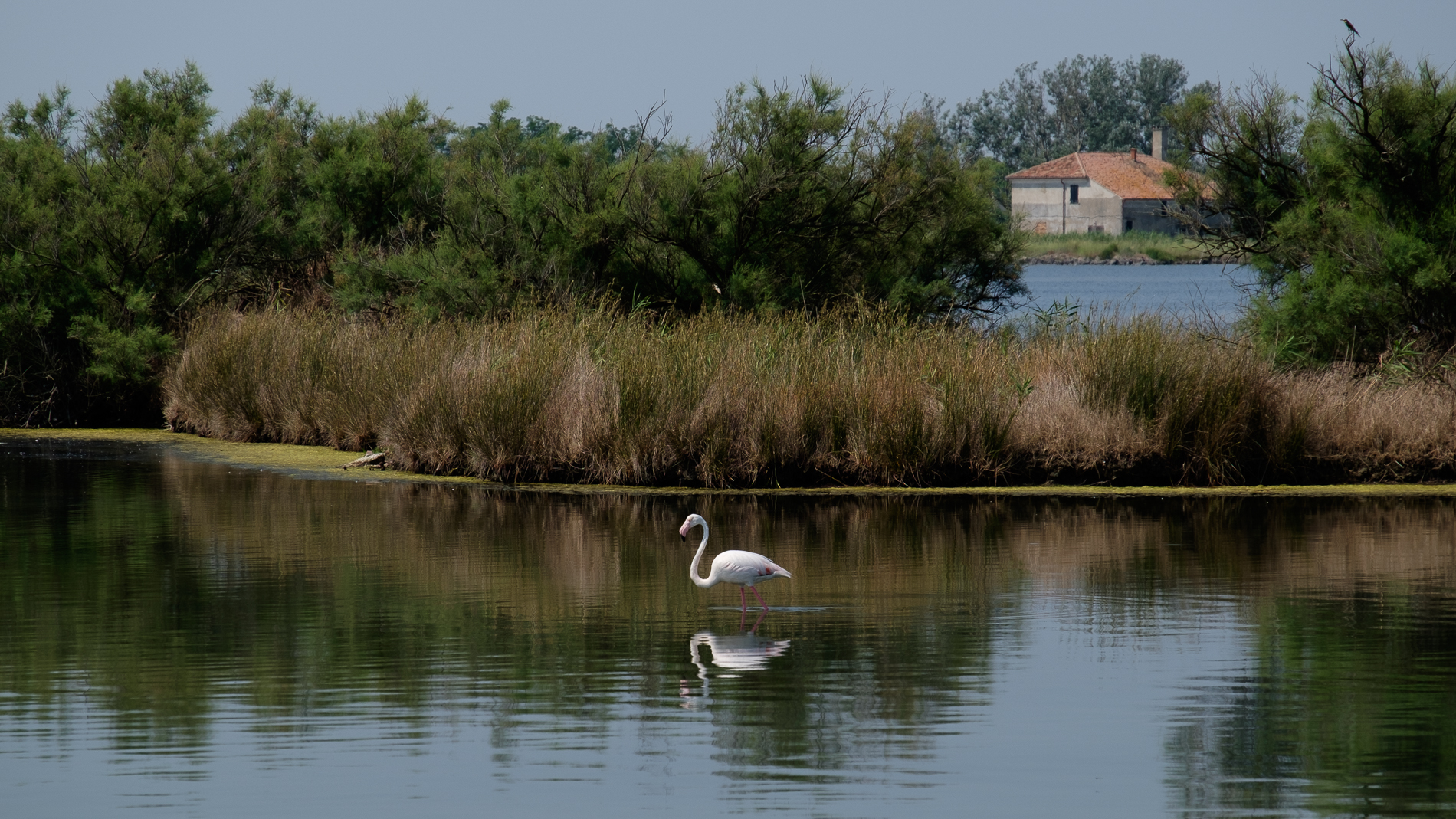 Delta del Po