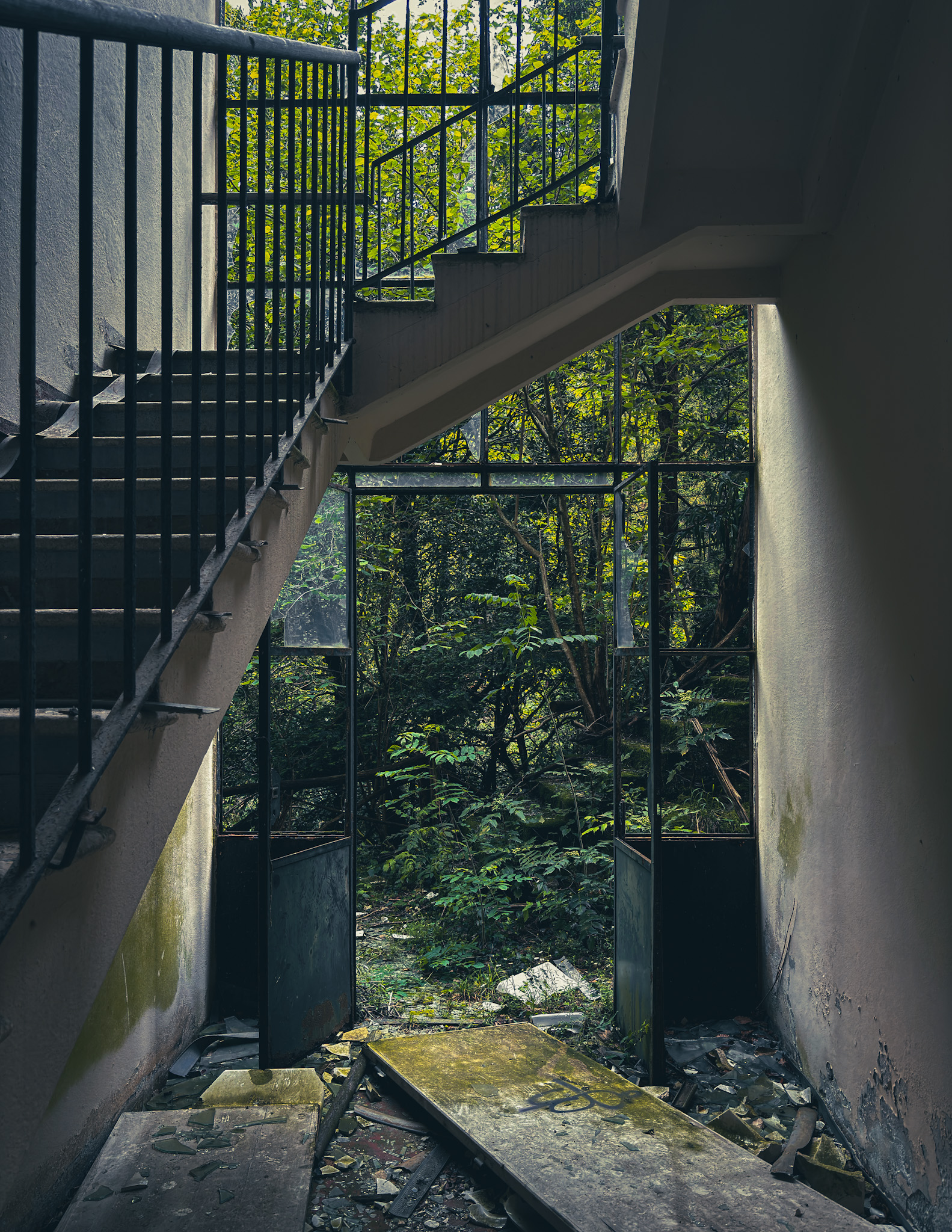 Stairs and vegetation