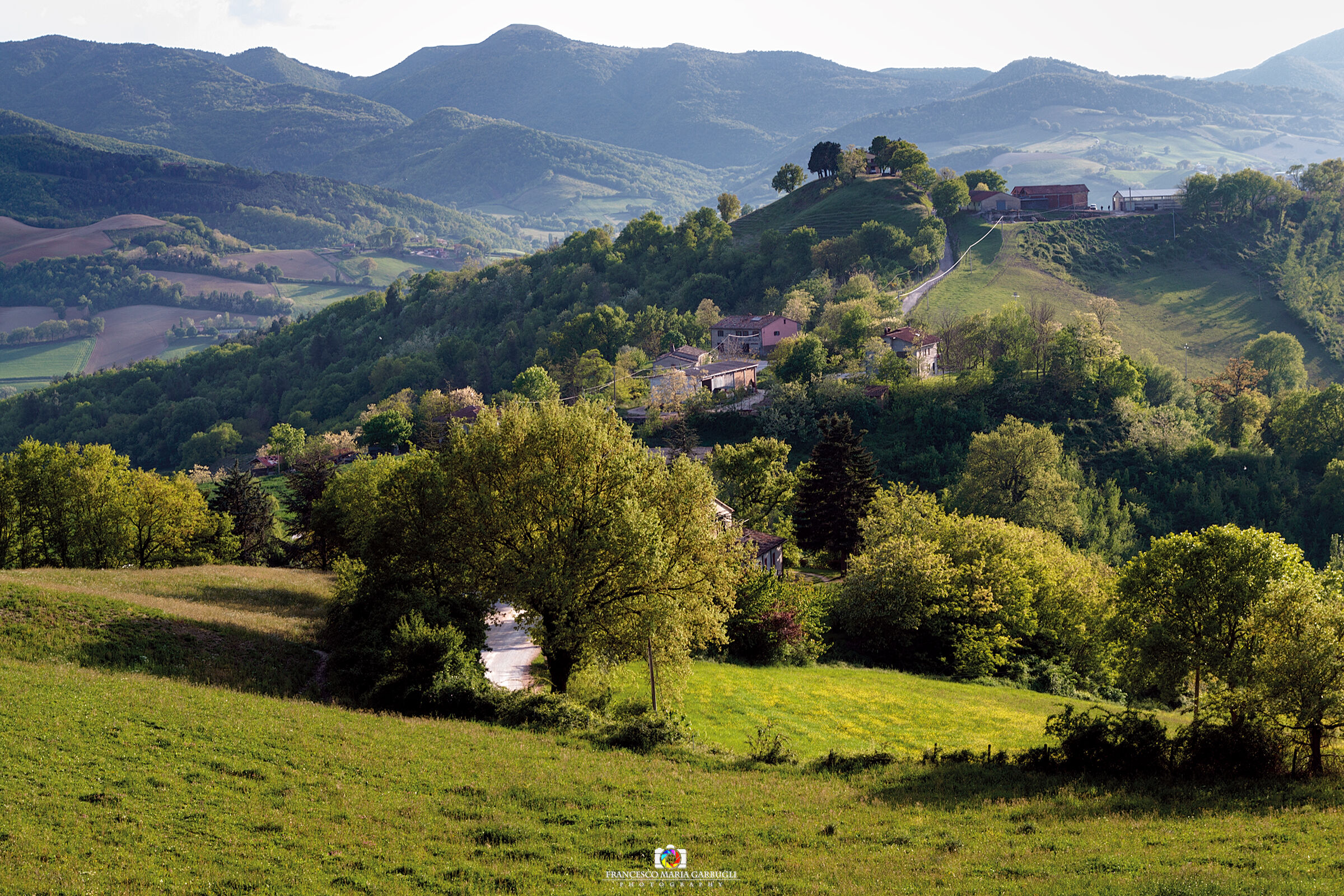 Passeggiando in campagna con Togo....