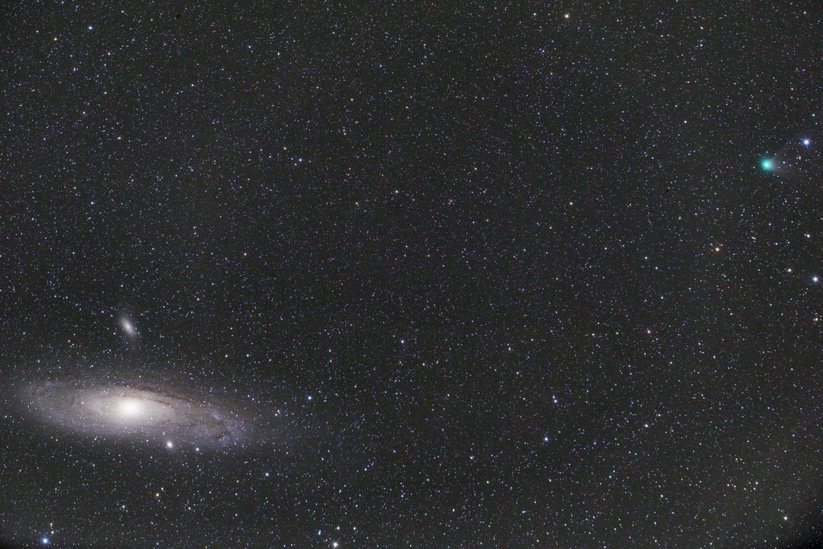 Cometa Lemmon dell'8 giugno 2013