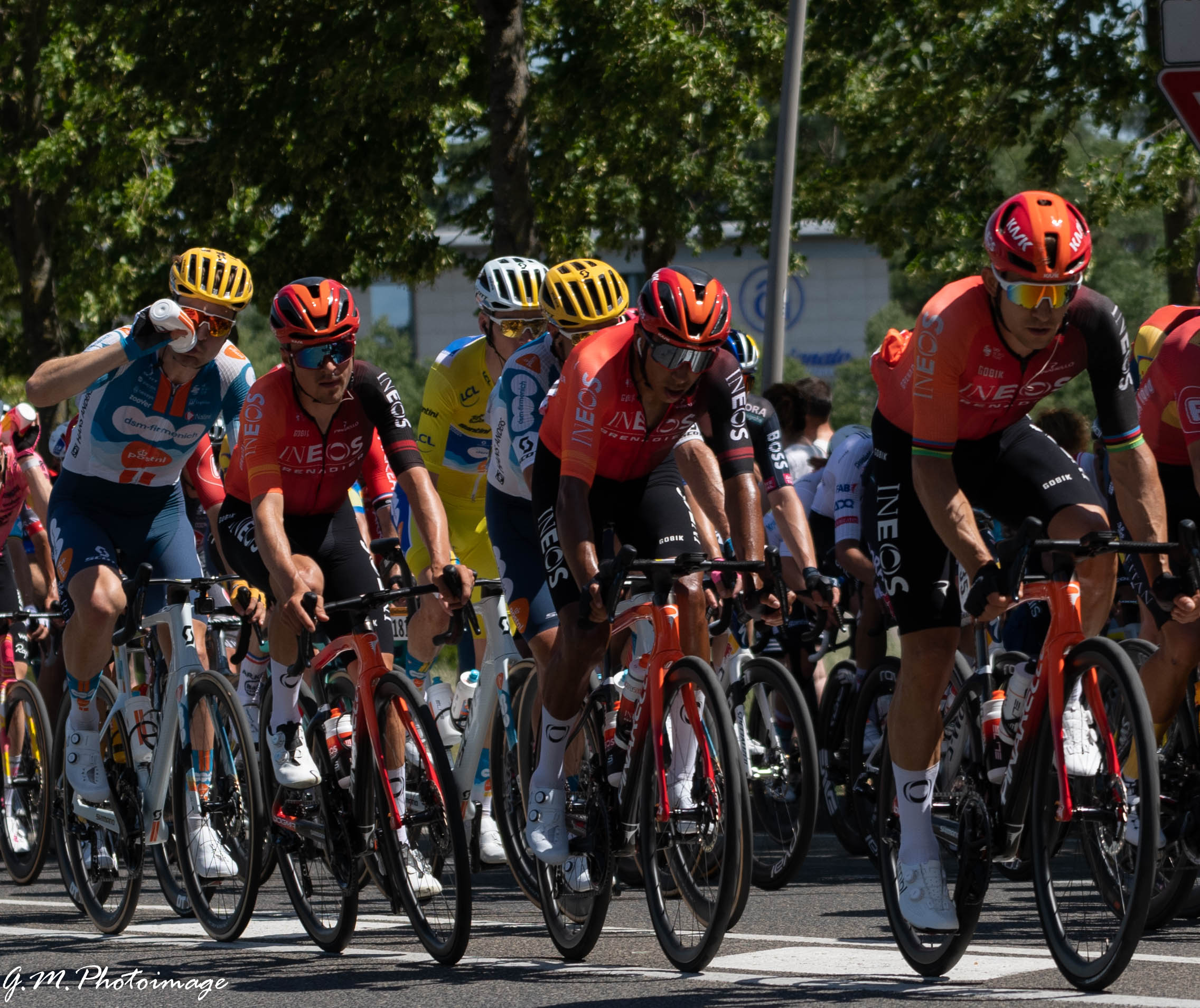 The Yellow Jersey