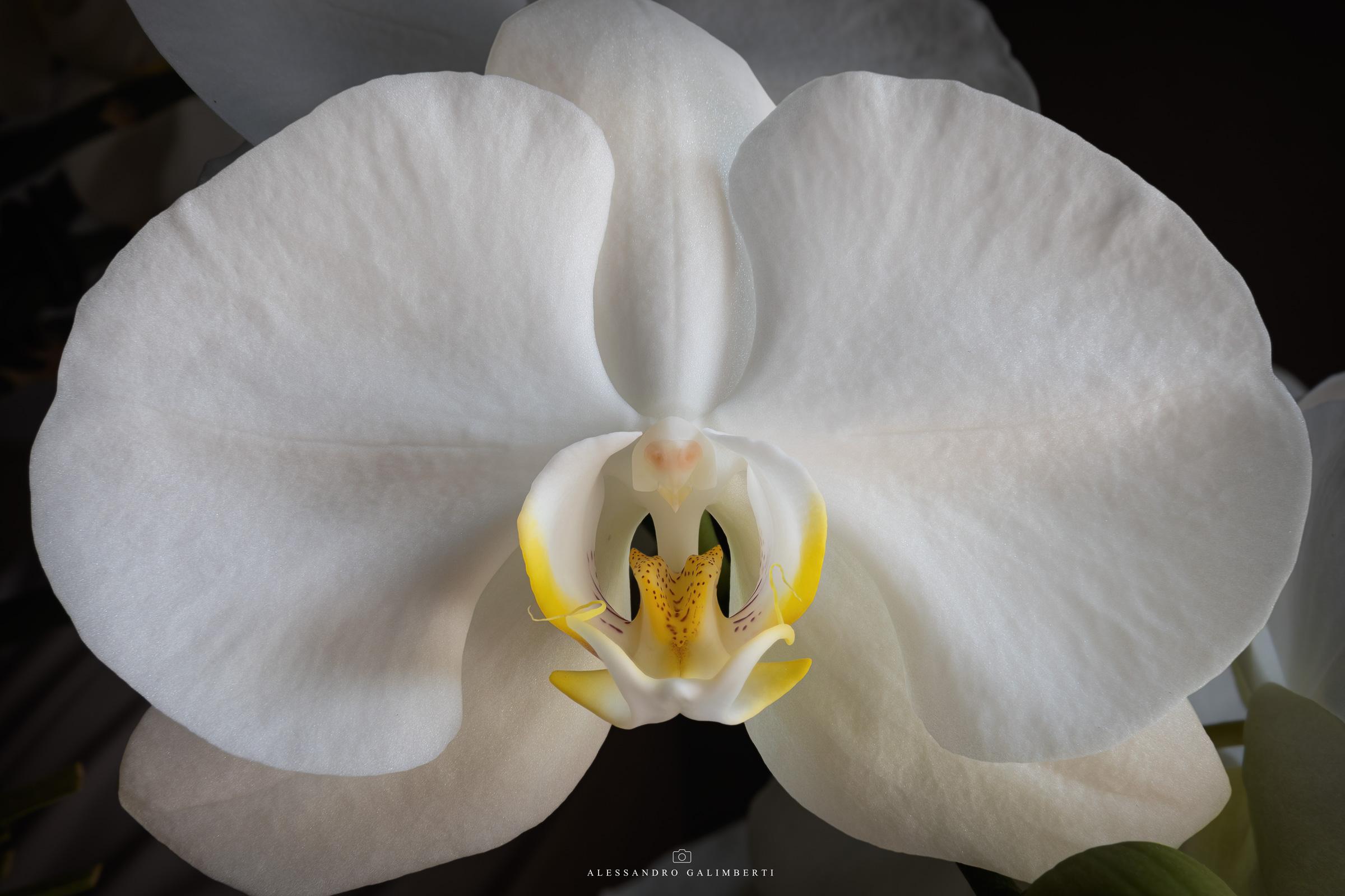 Untitled Photo
