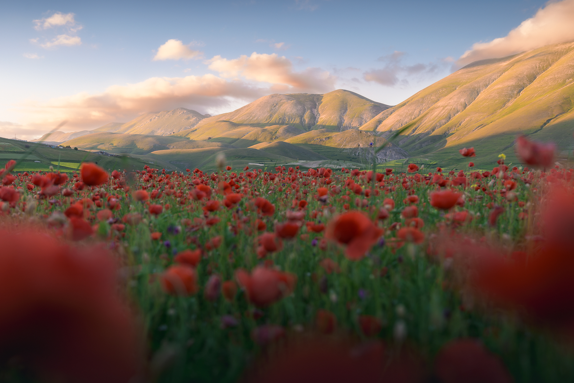 Castelluccio