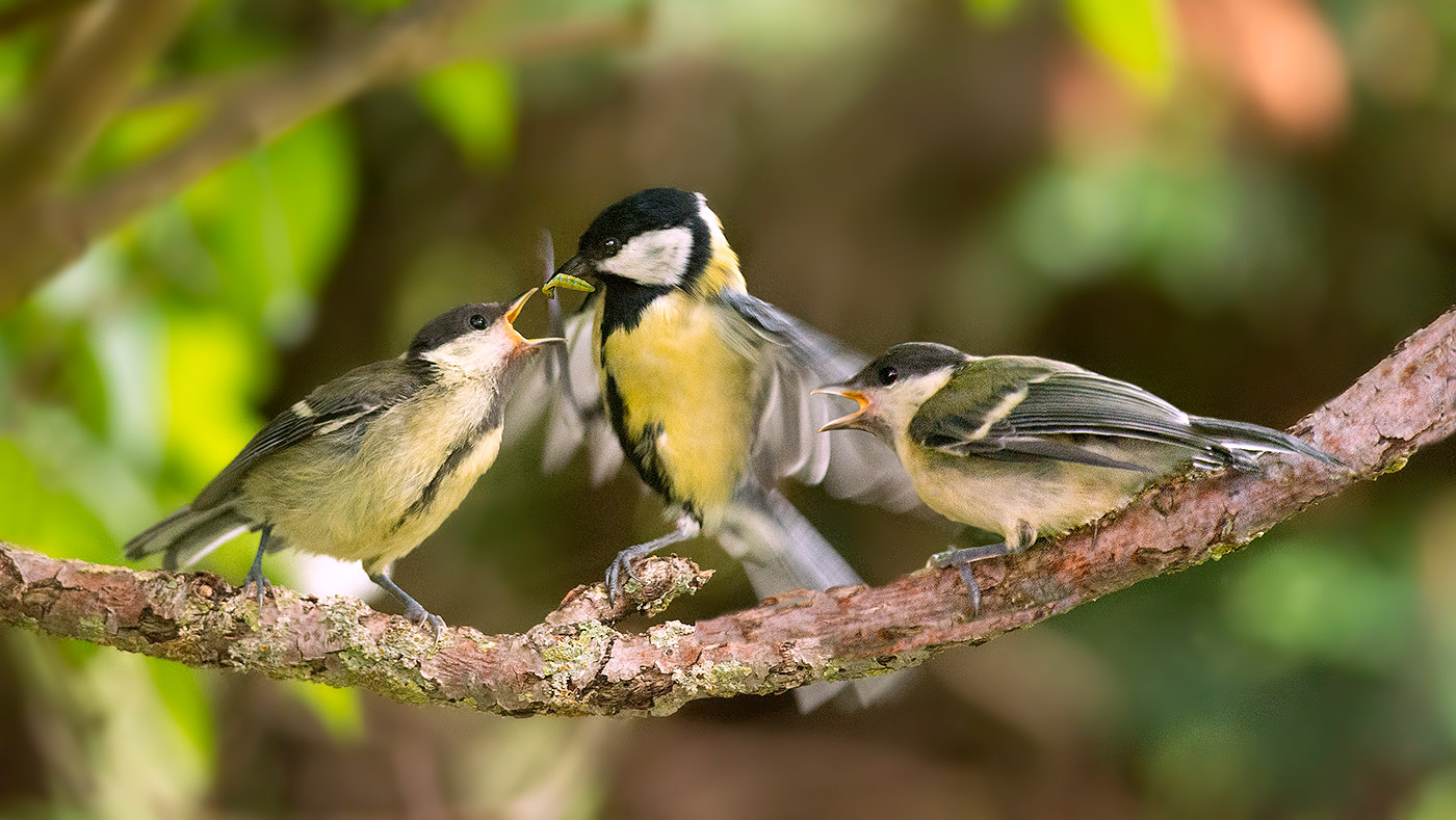 Hungry little.