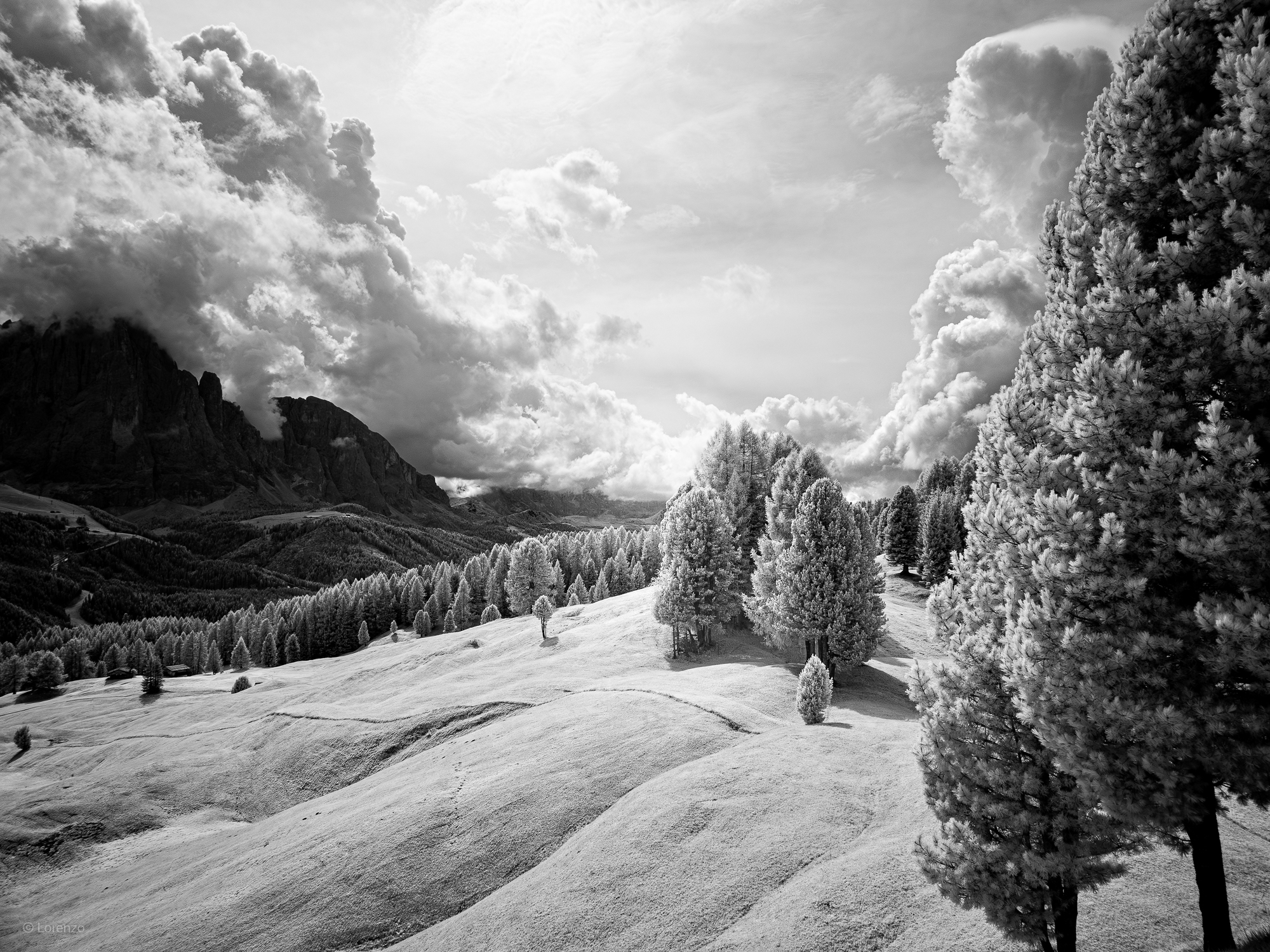 Val Gardena