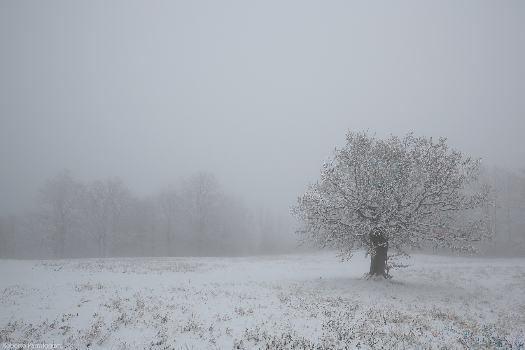 Ricordi d'inverno