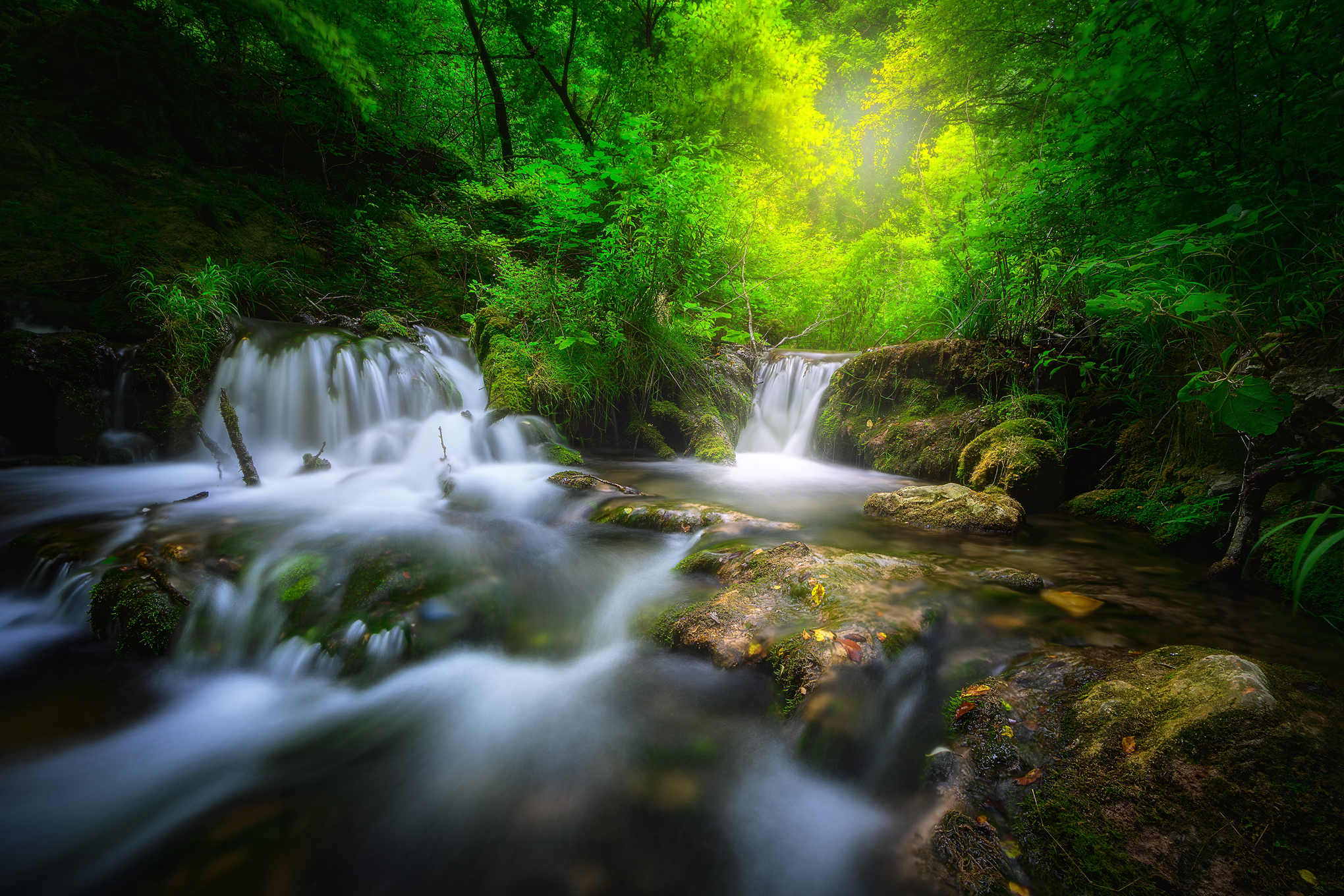 The Water Trail