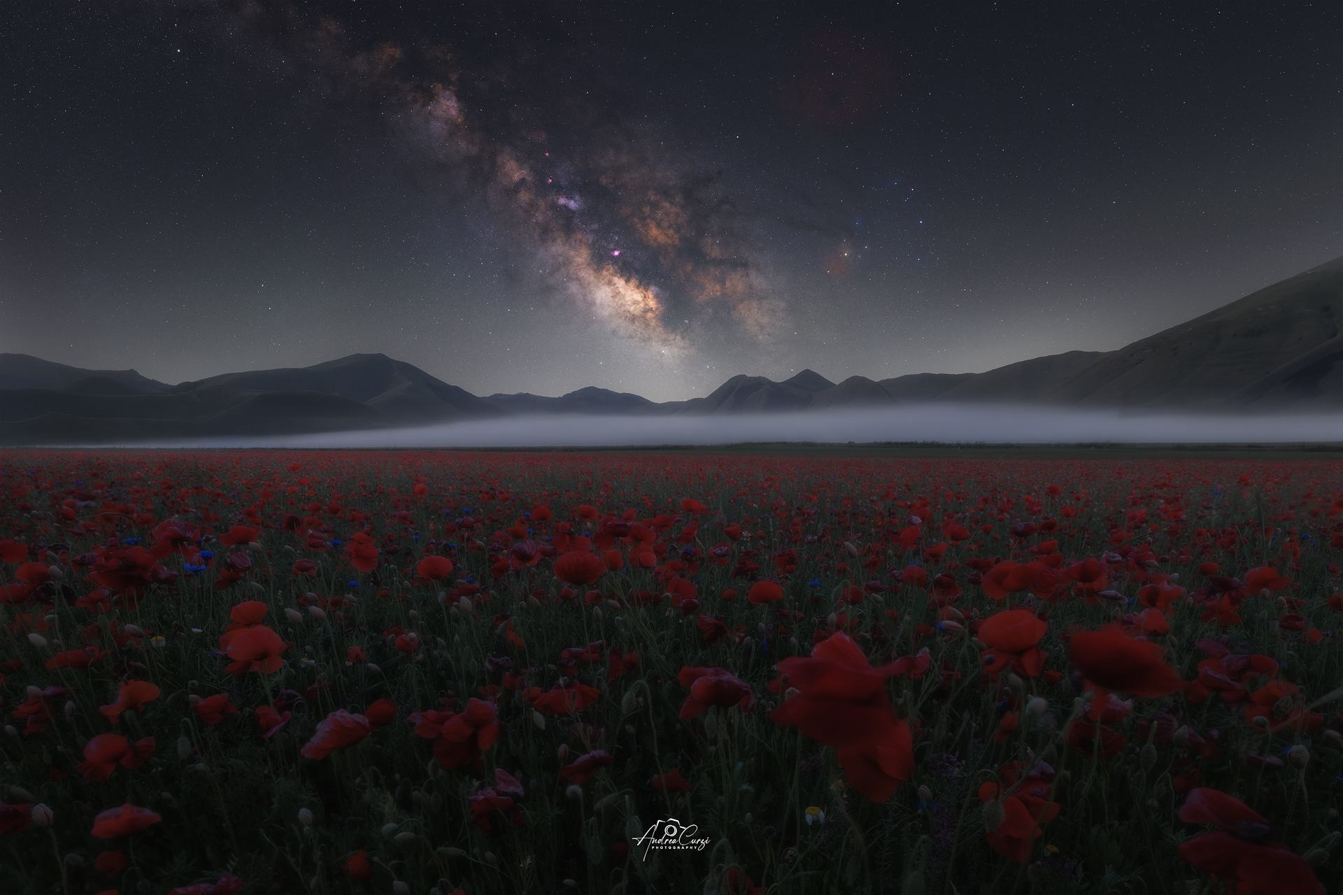 Fiori e stelle a Castelluccio di Norcia