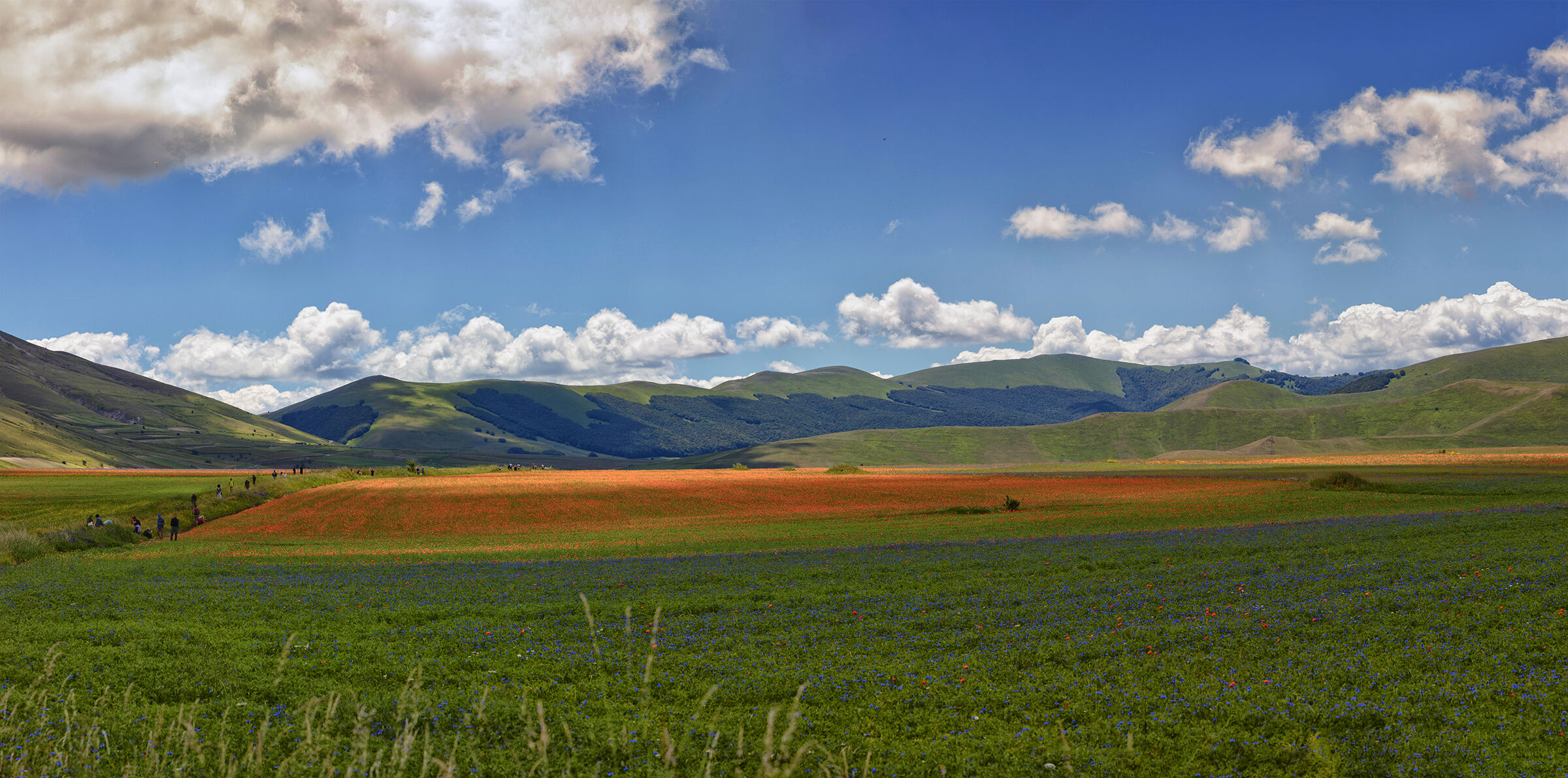 Castelluccio 27-06-2024_2