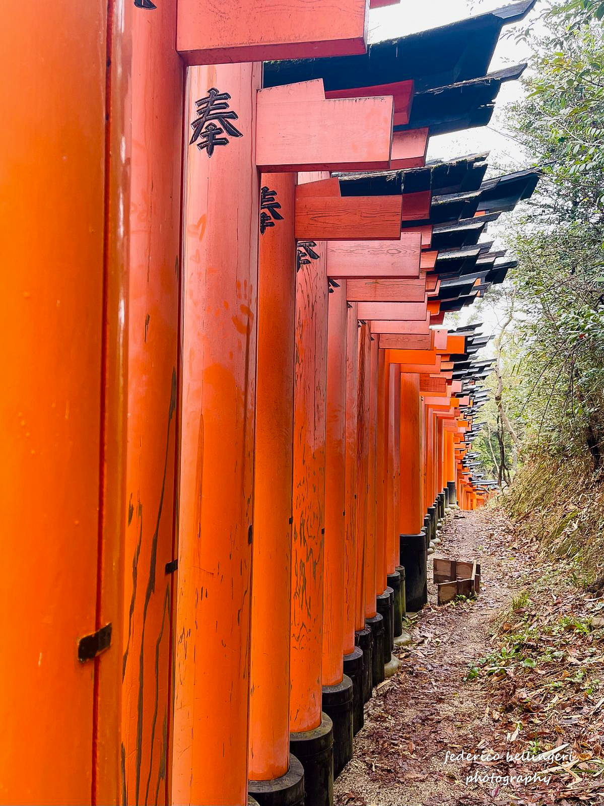 Fushimi Inari