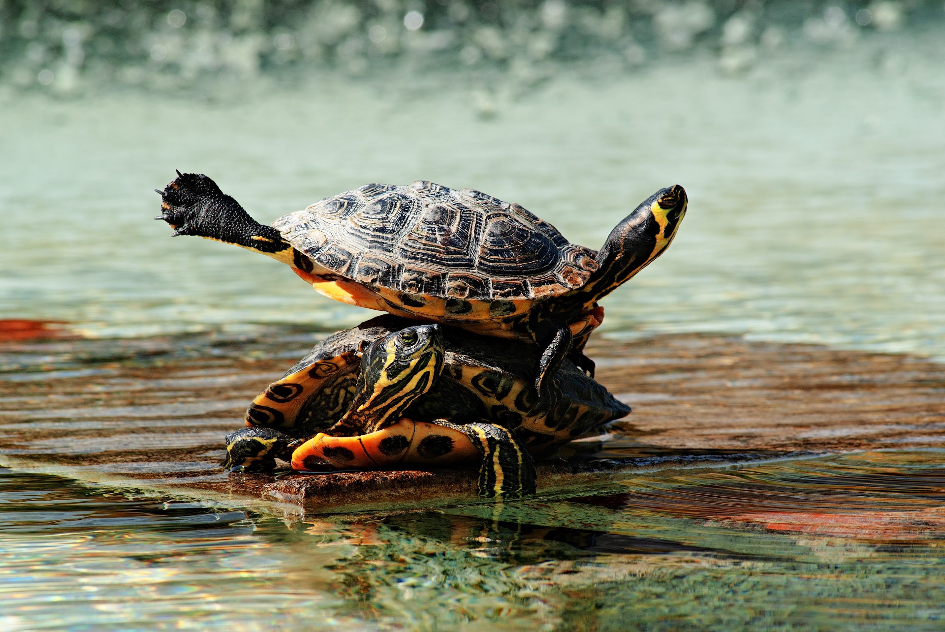 stay still ! what a slide.