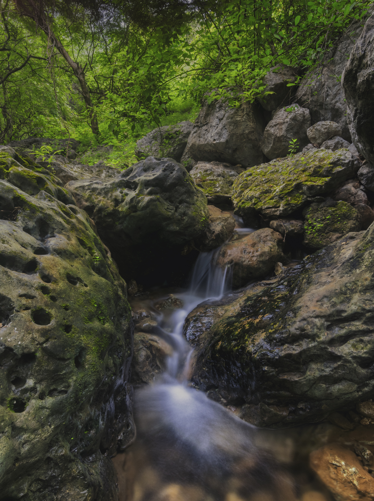 Dhofar