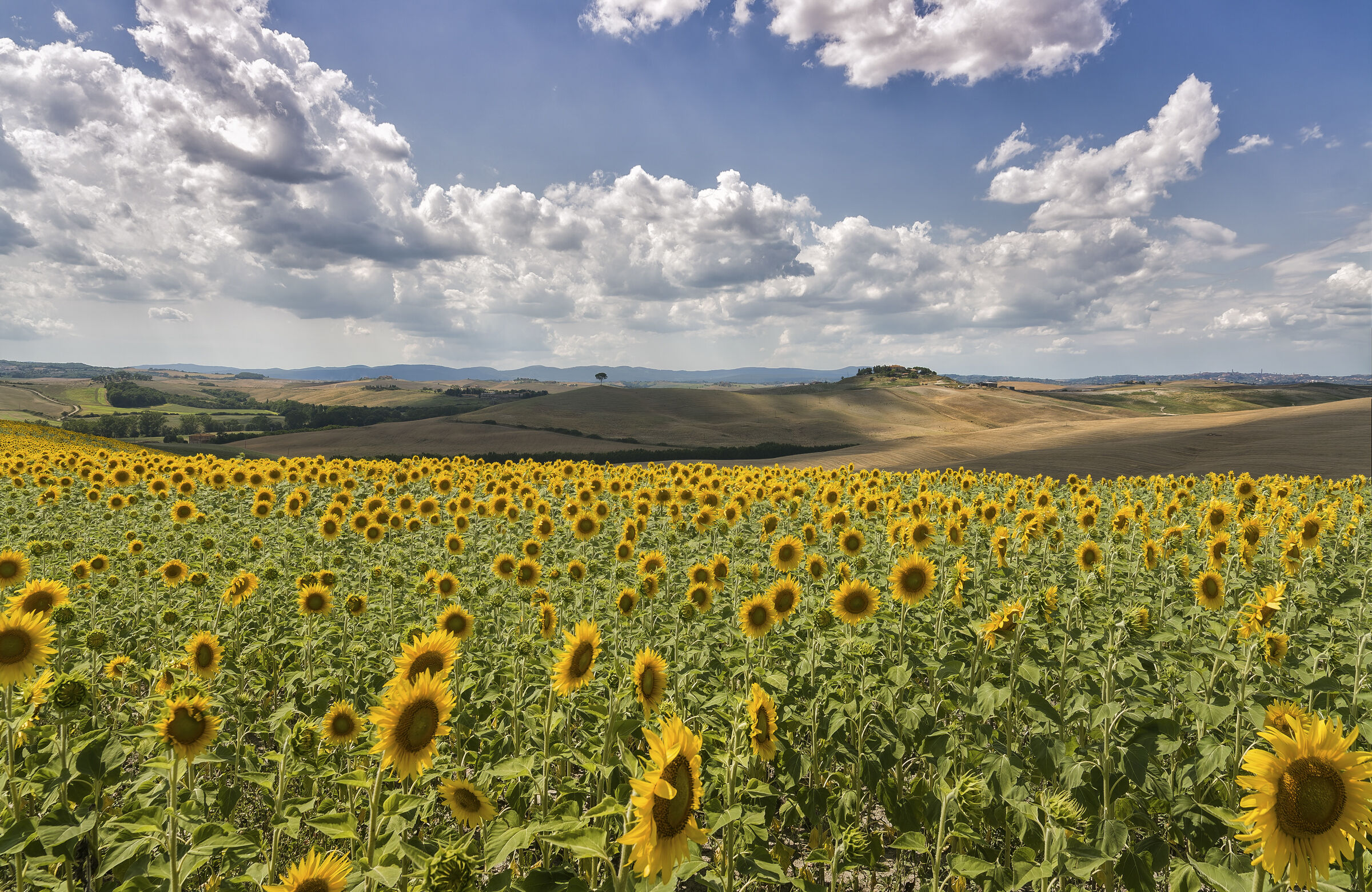 Toscana