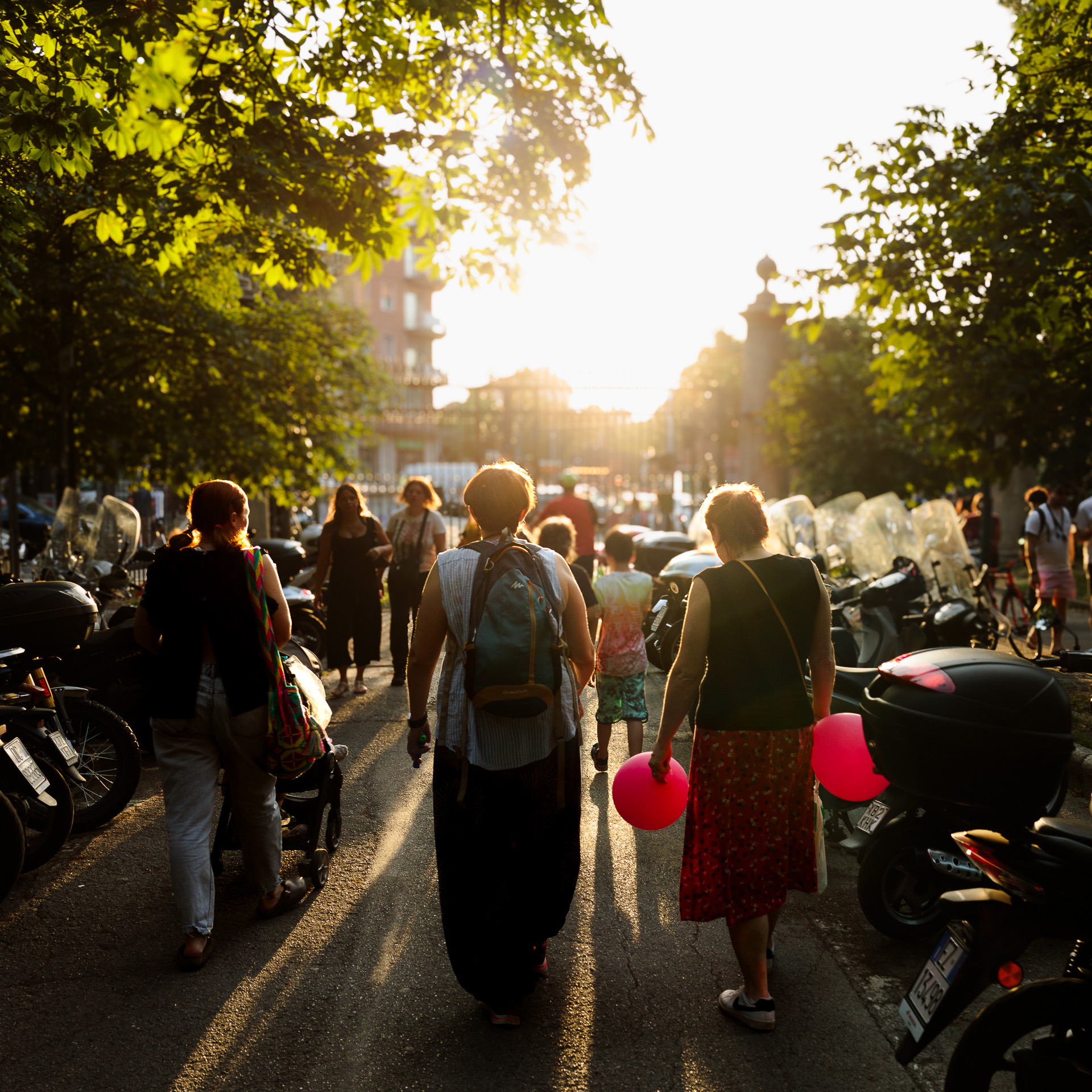 Bologna, sunset in the park.