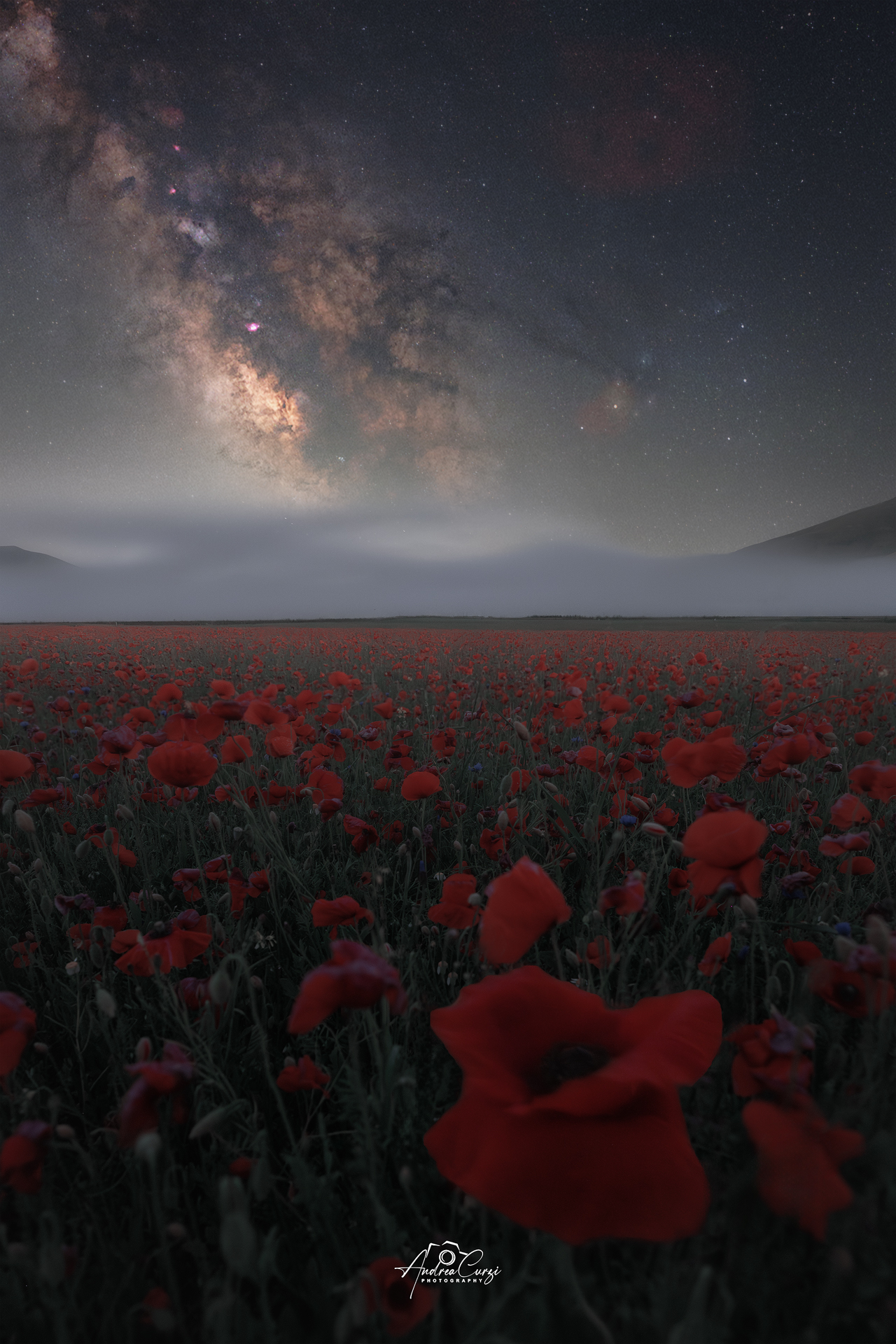 Mistic Fog