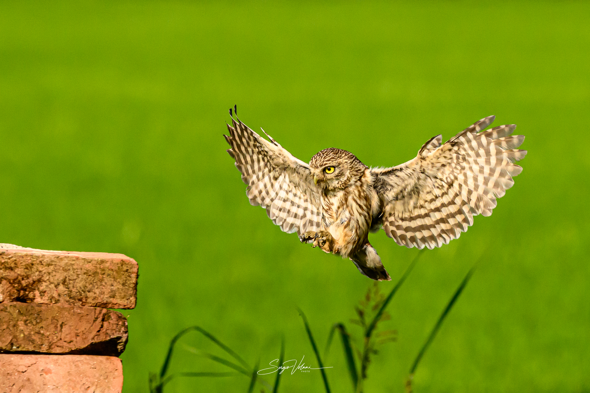 Landing
