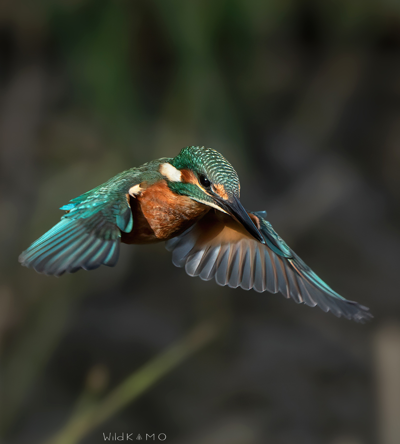 In flight