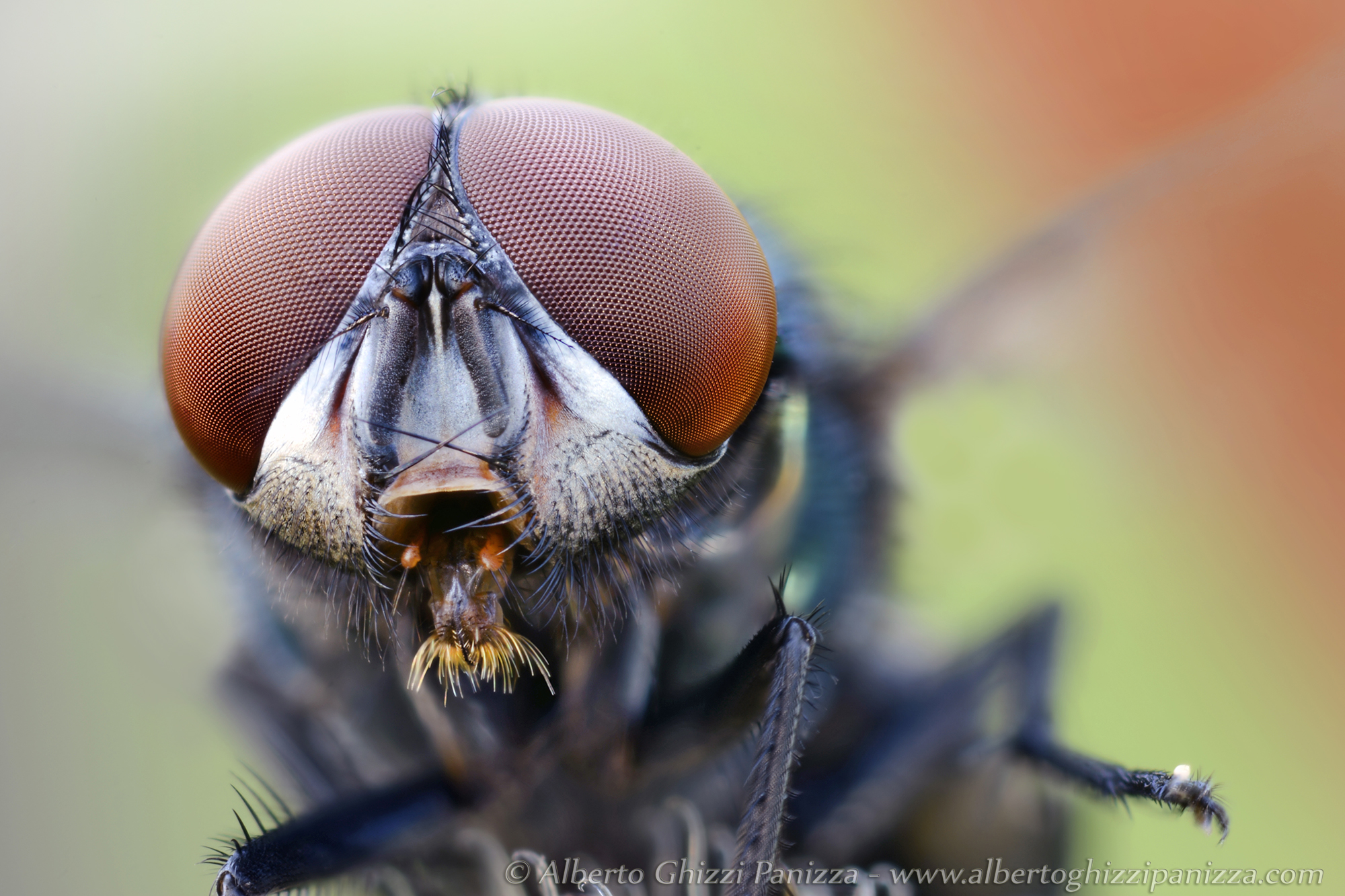 It came from the river