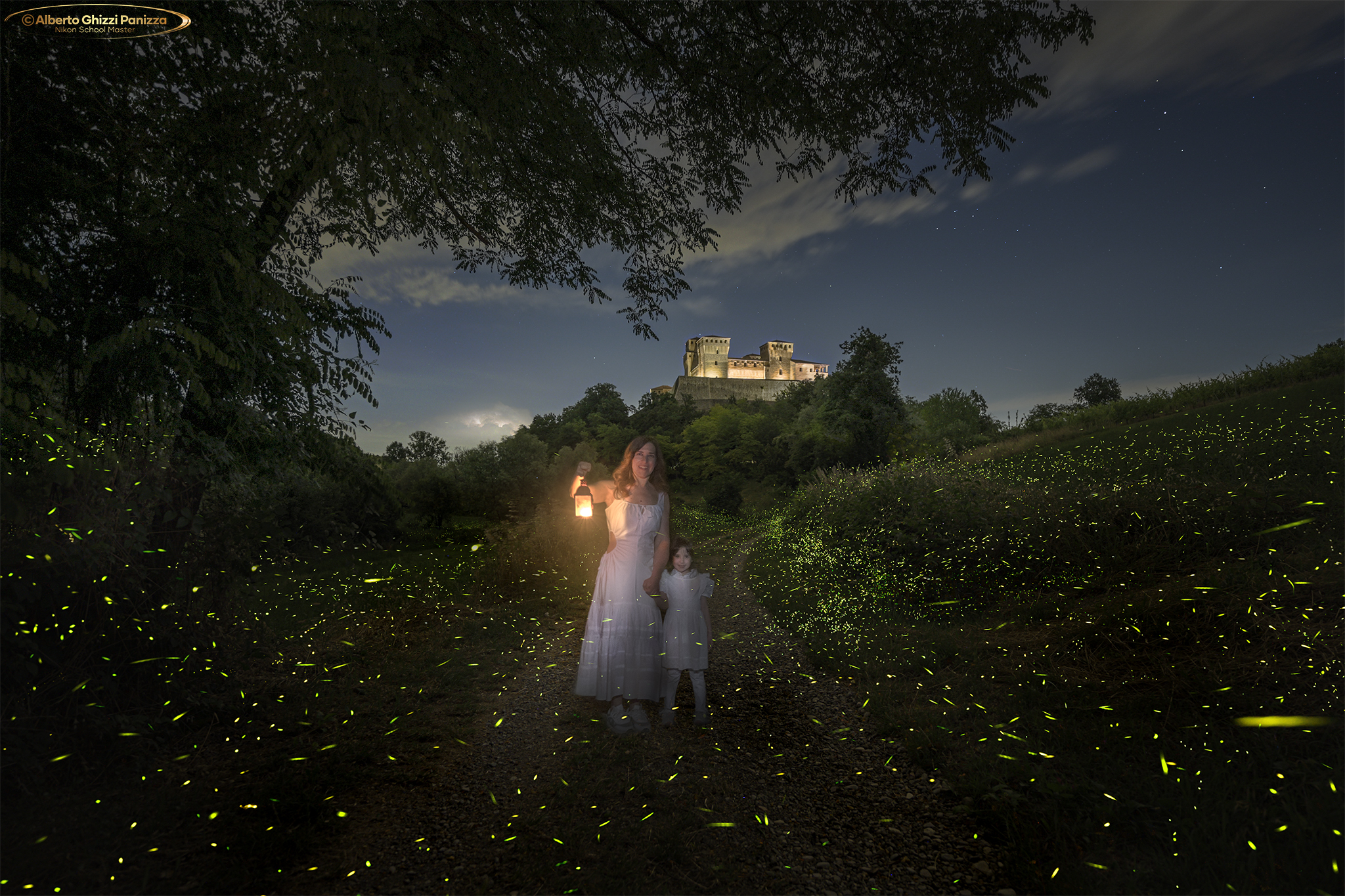 In search of fireflies