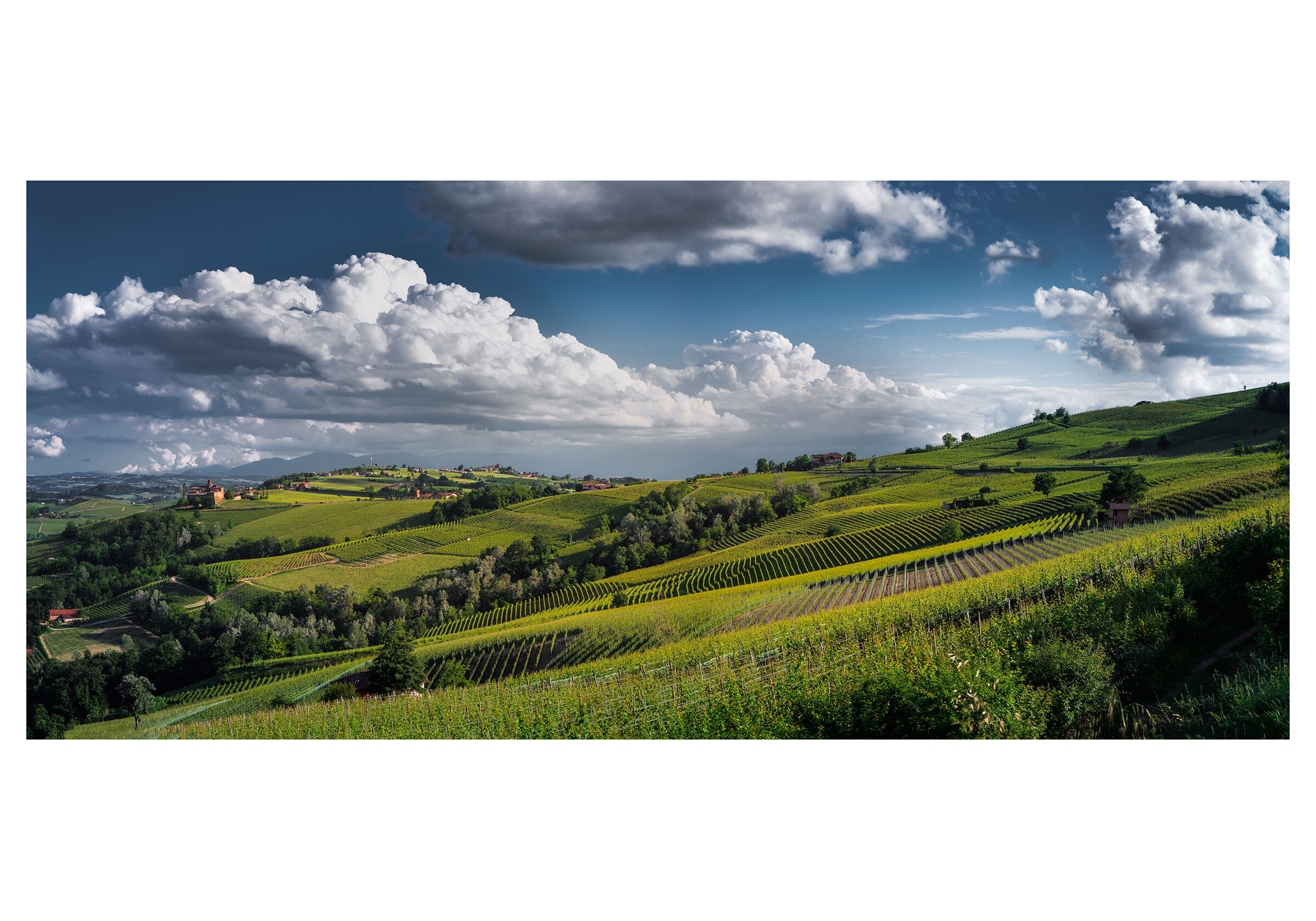 Vineyards and clouds