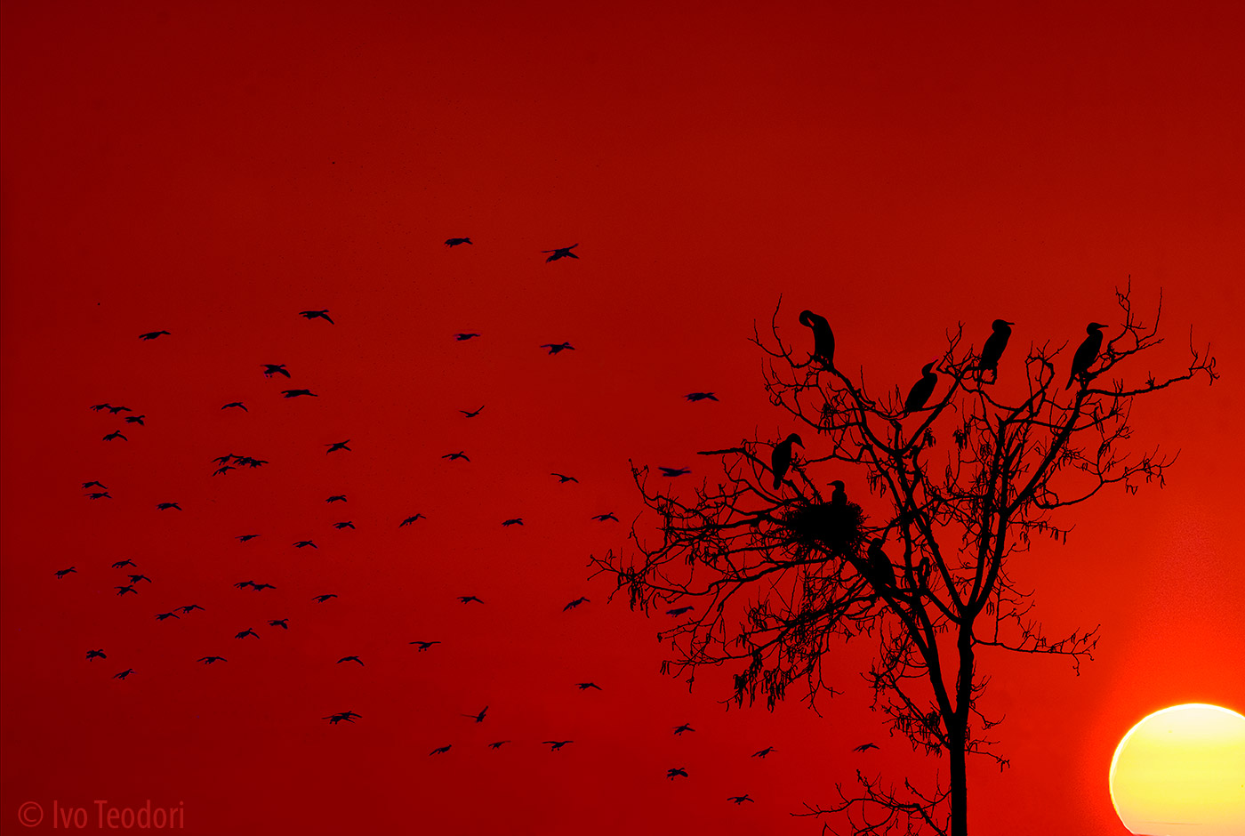 Sky commuters.