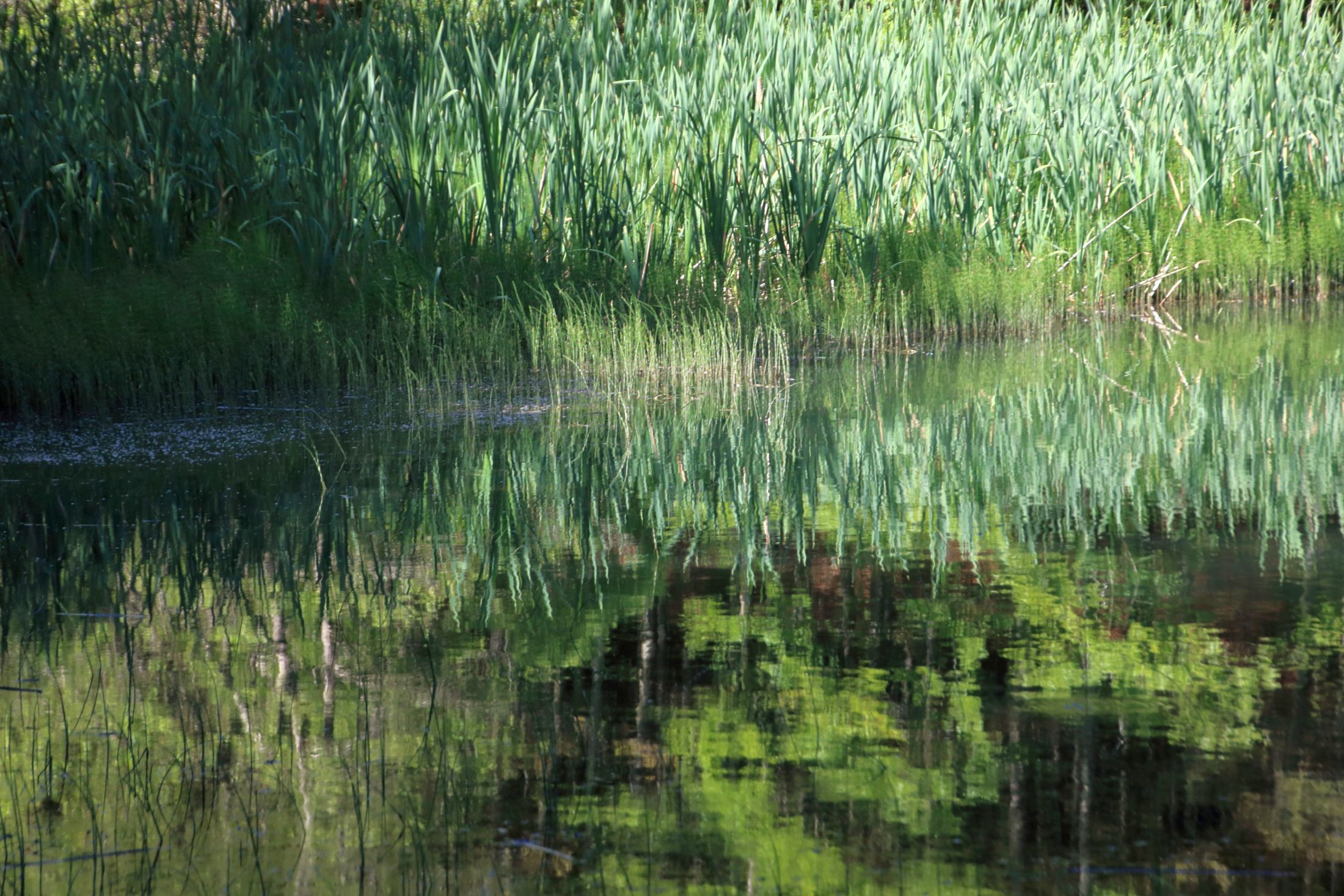 Astrattismo lacustre