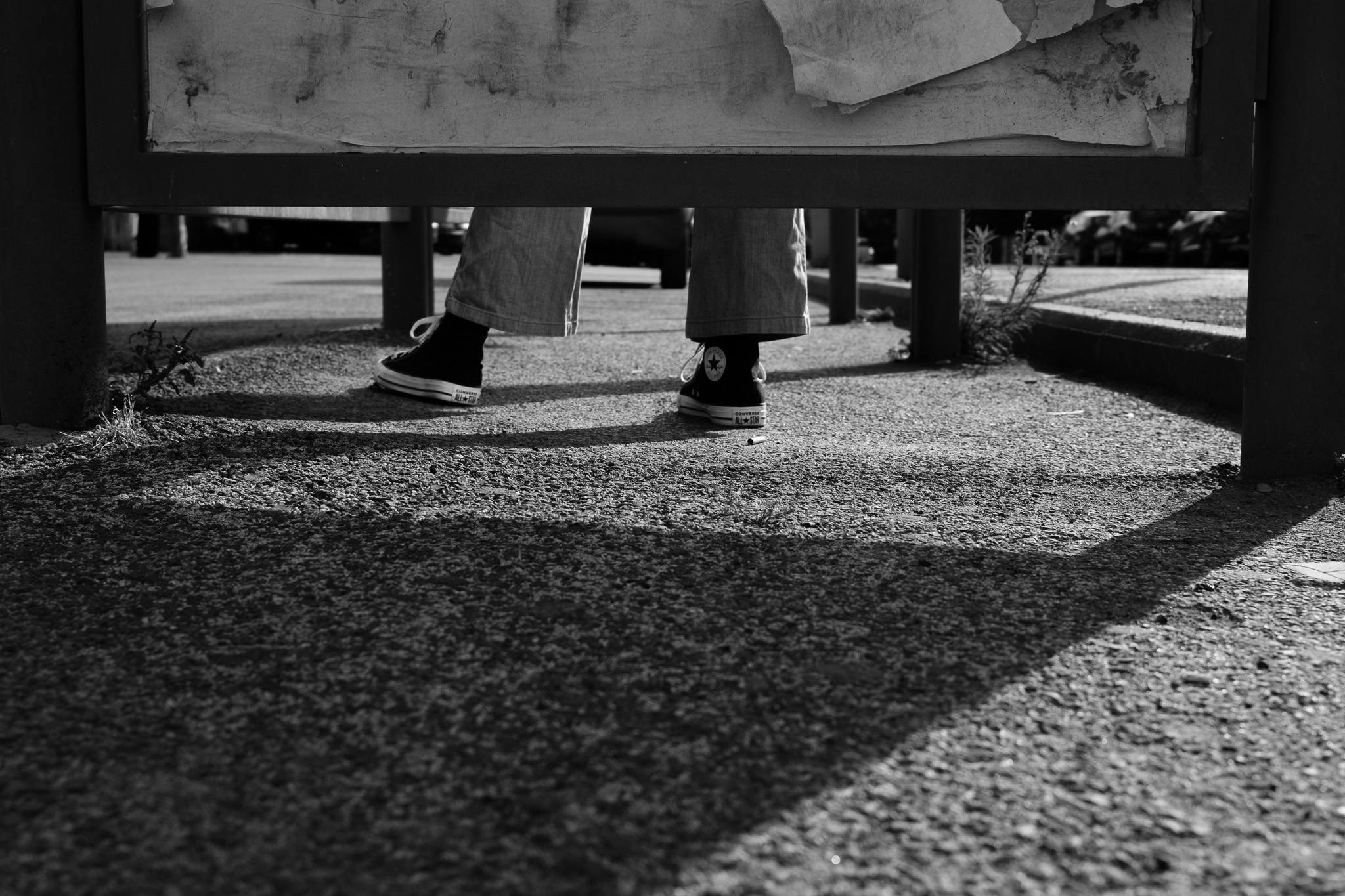 Images of the snapshot on the road.