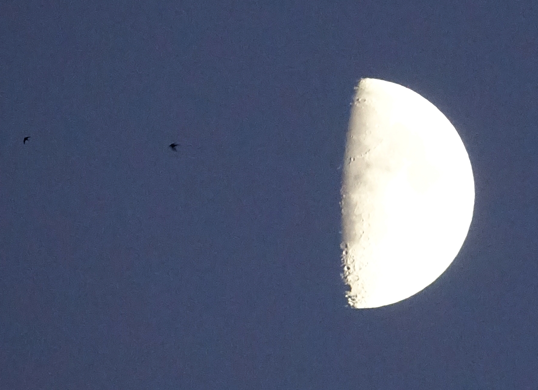 ...in volo verso la luna