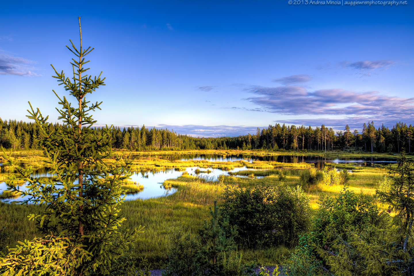 Sunset over Hunneberg National Park