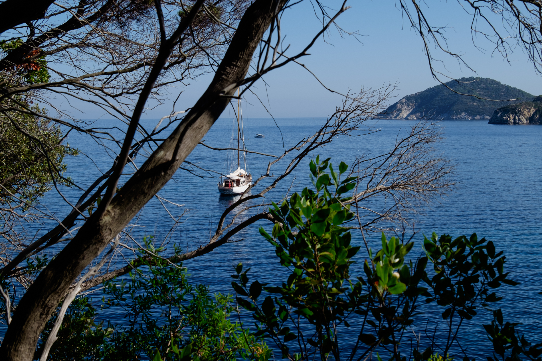 Nel Golfo di Procchio