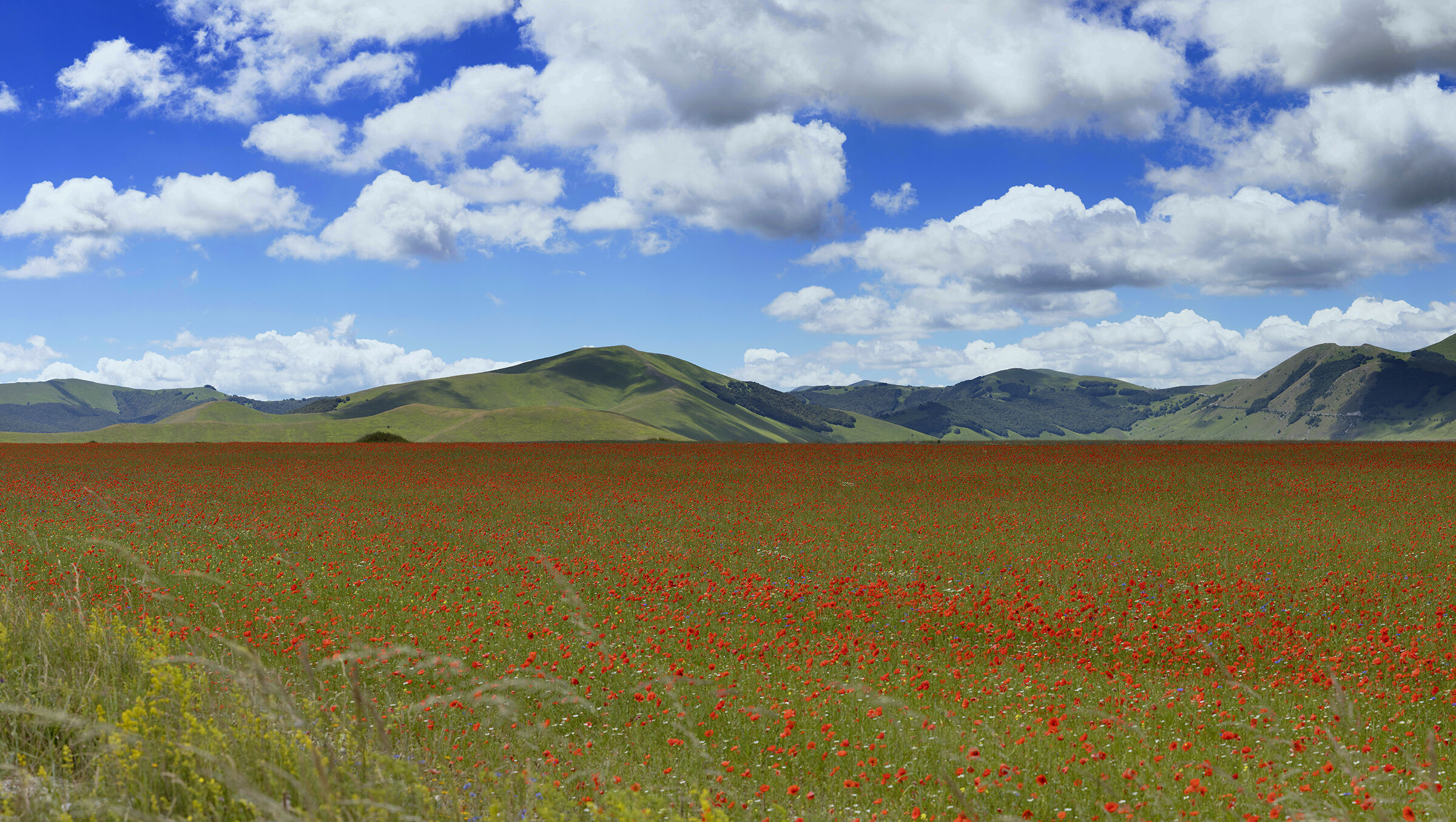 Castelluccio 27.06,2024_3