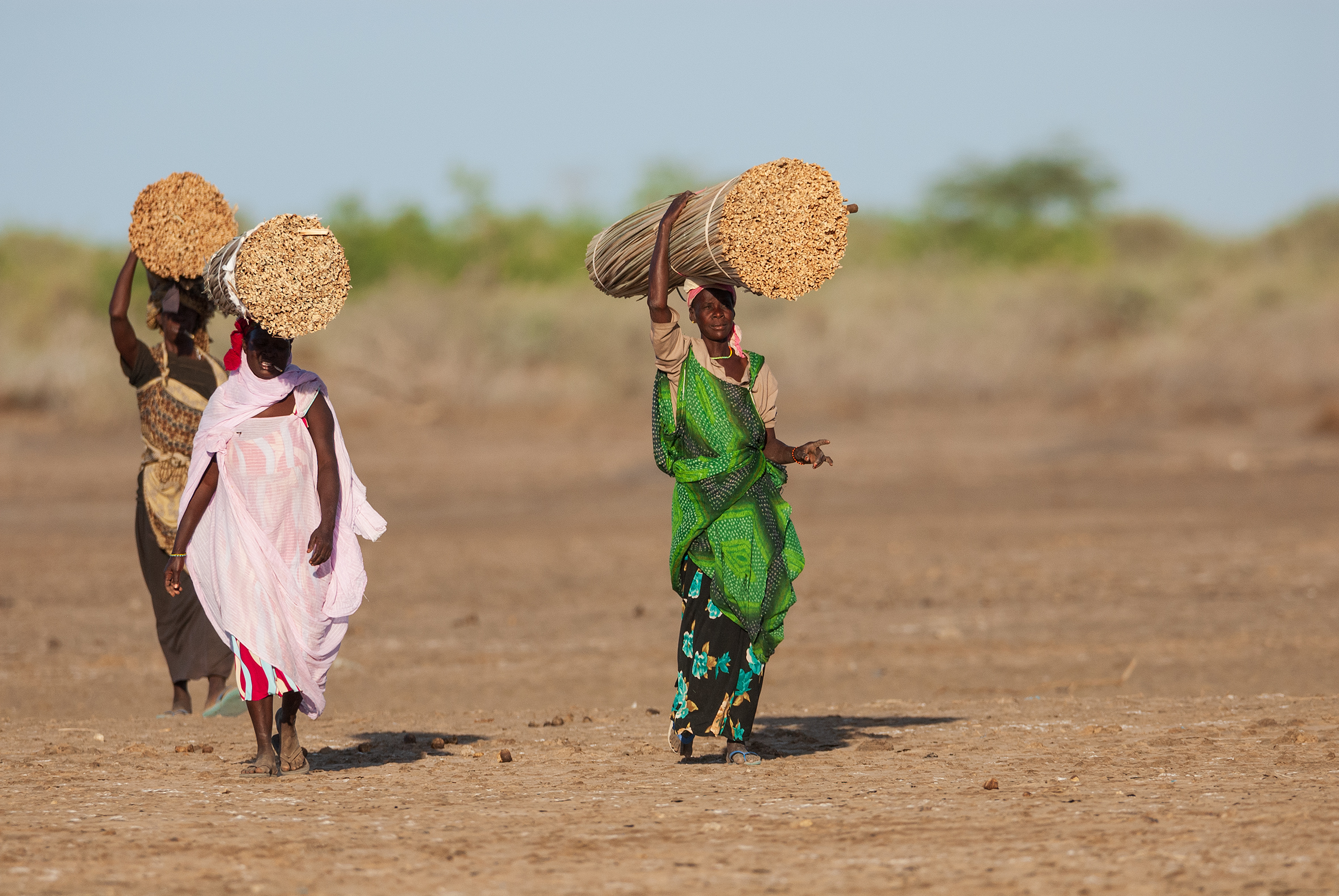 Lavoro femminile in Senegal