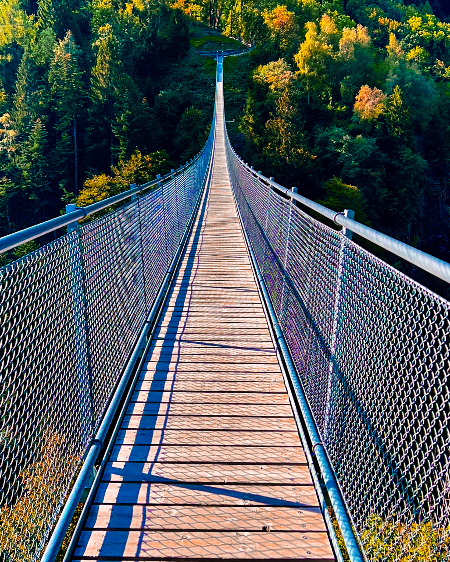 Ponte nel Cielo