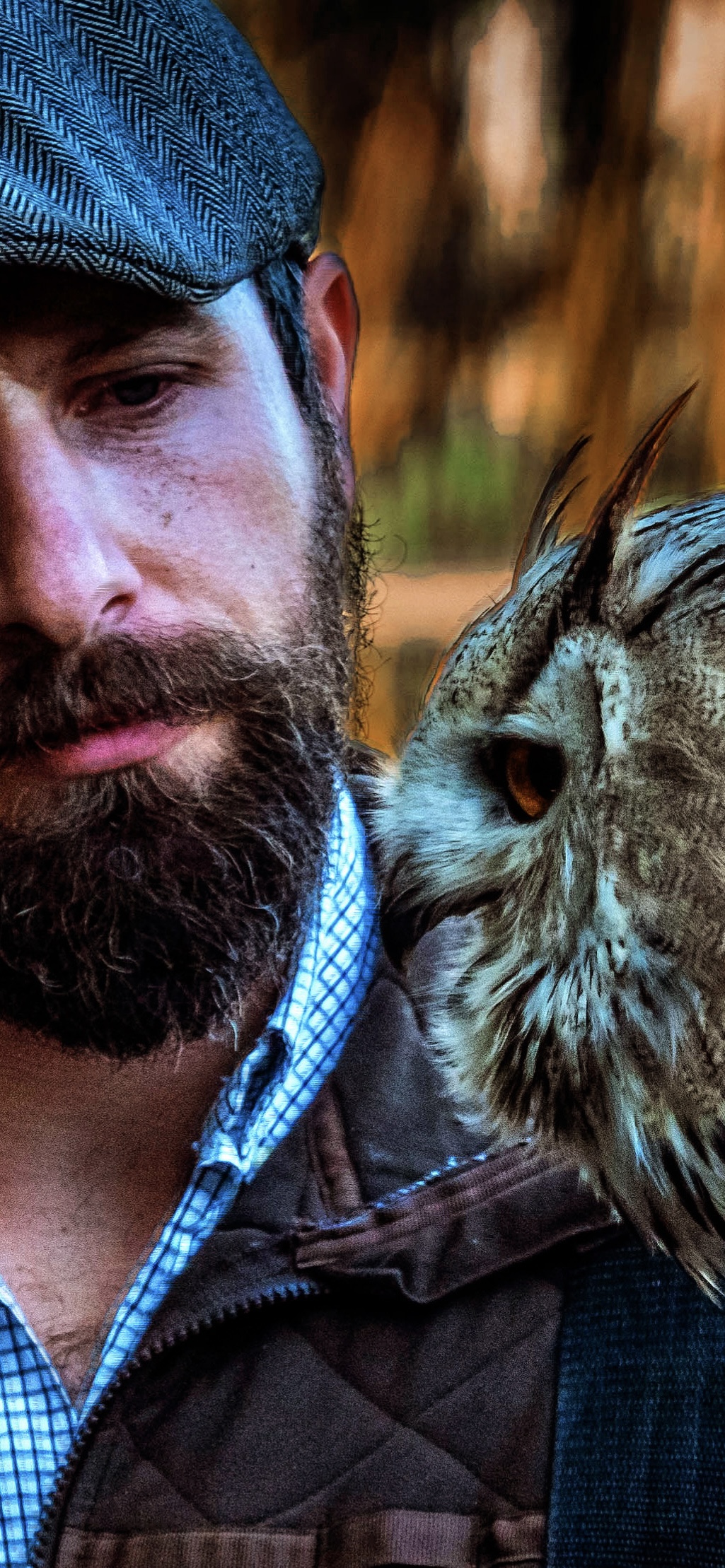 Falconeria