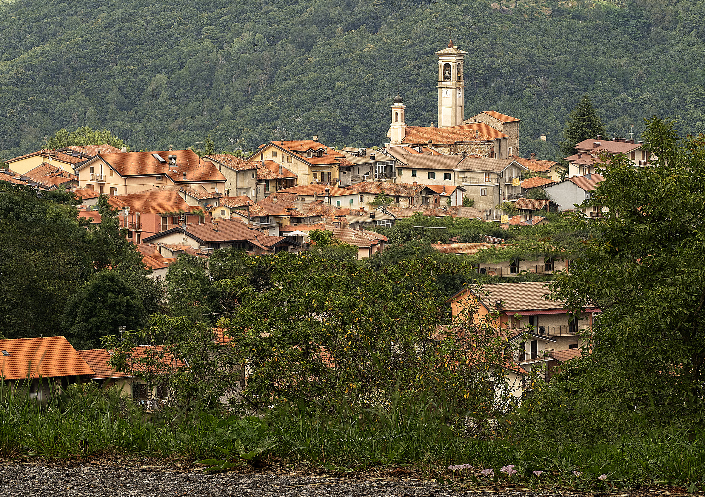 Viola (Cn) - A village in the countryside