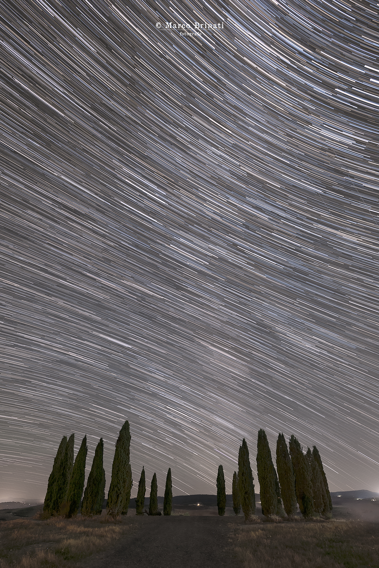 Star Trail I Cipressini